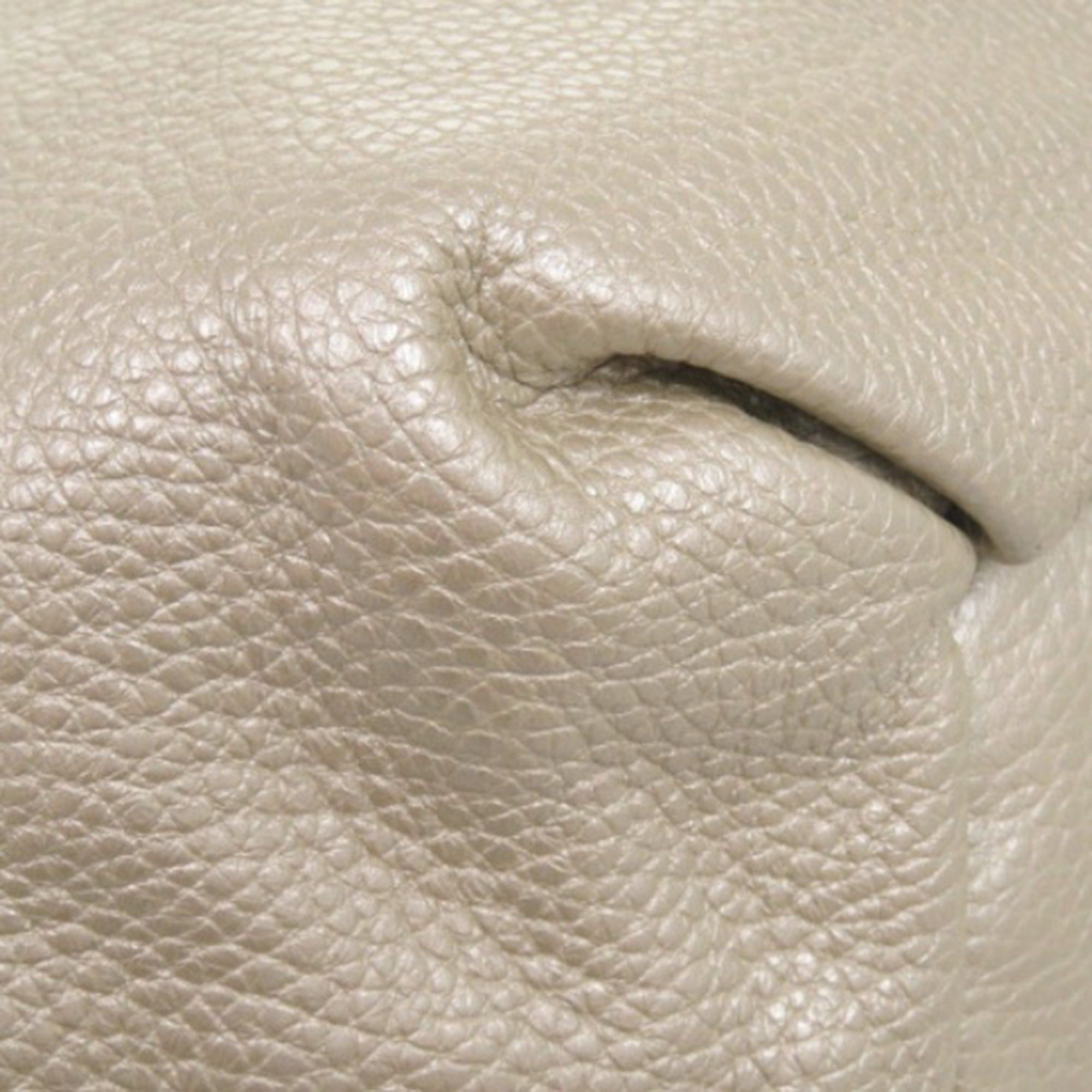 Celine Grained Metallic Calfskin Bittersweet Hobo Size ONE SIZE - 11 Thumbnail