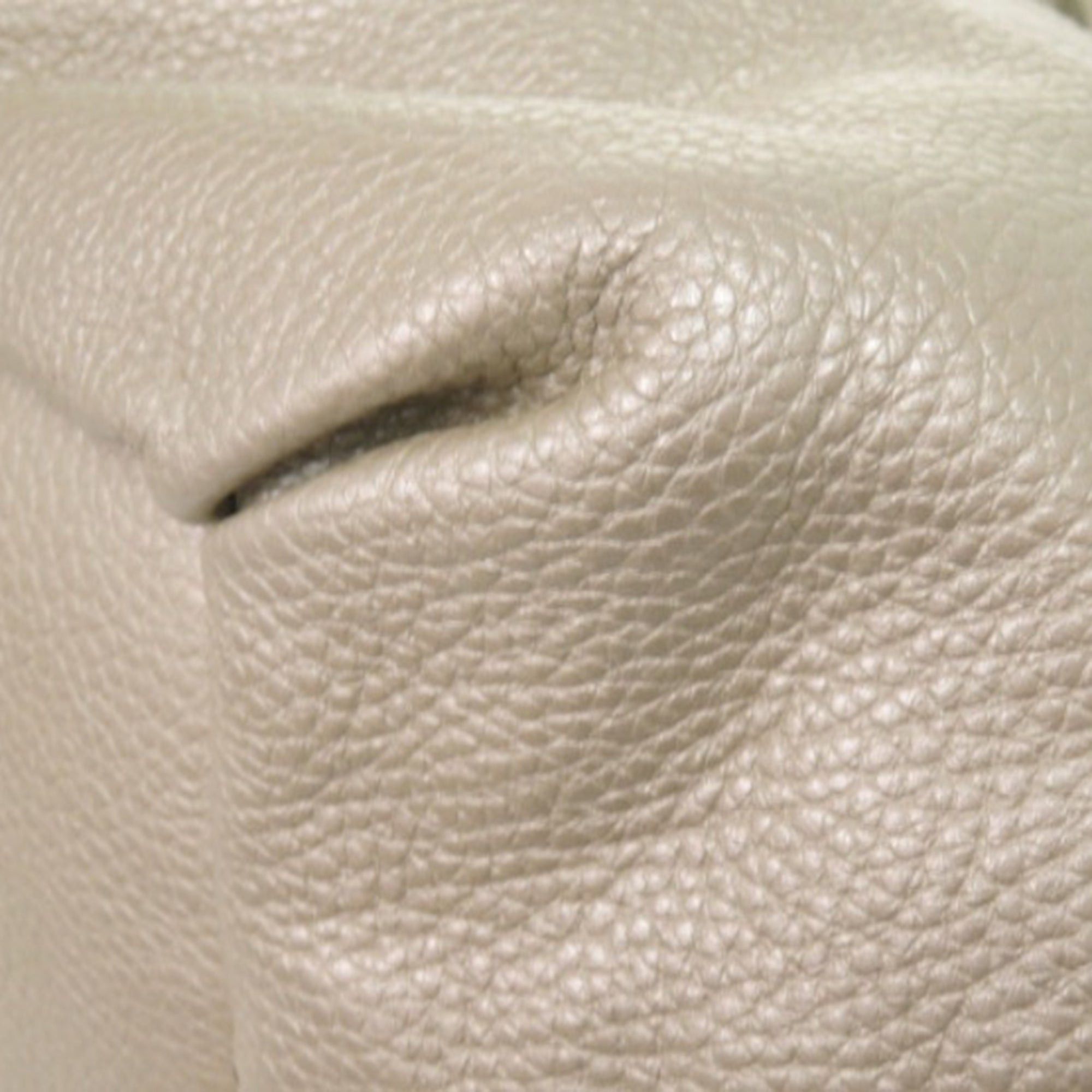 Celine Grained Metallic Calfskin Bittersweet Hobo Size ONE SIZE - 14 Thumbnail