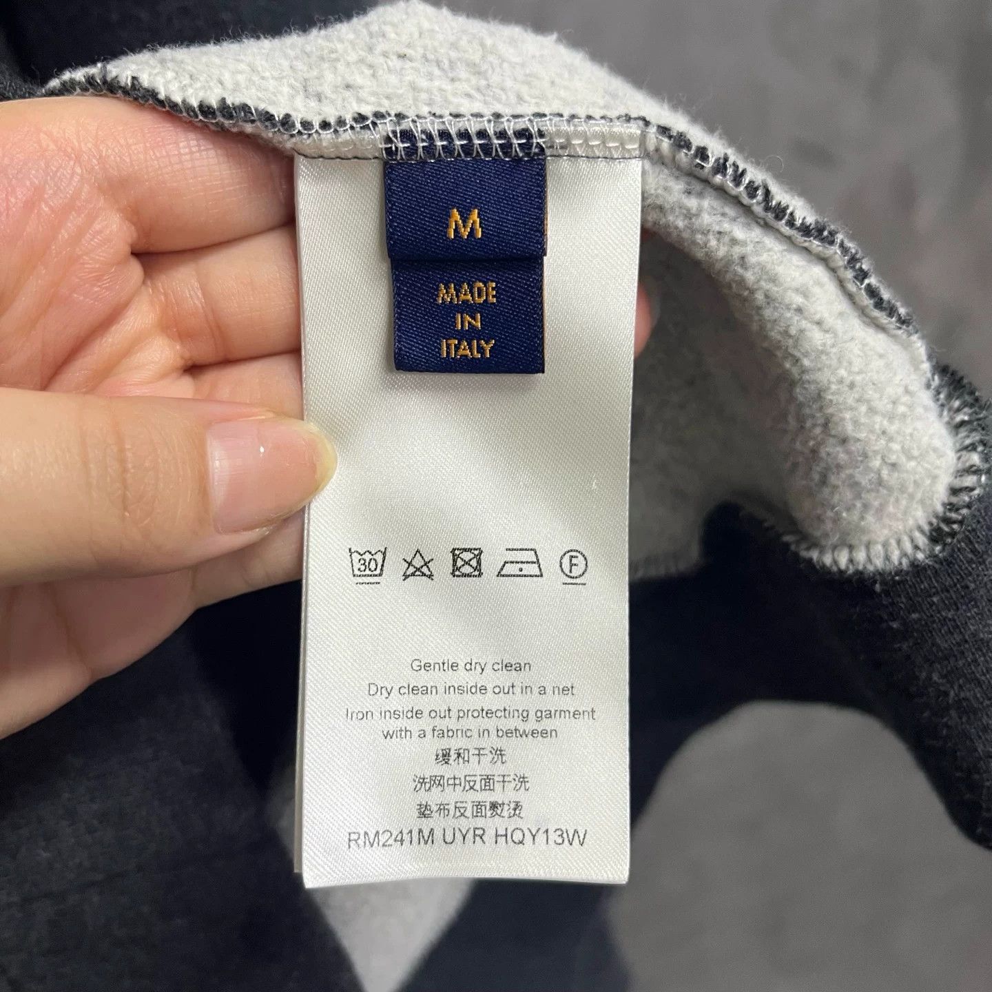 Louis Vuitton Louis Vuitton Craggy Monogram Logo Sweatshirt US M Size US M / EU 48-50 / 2 - 5 Thumbnail