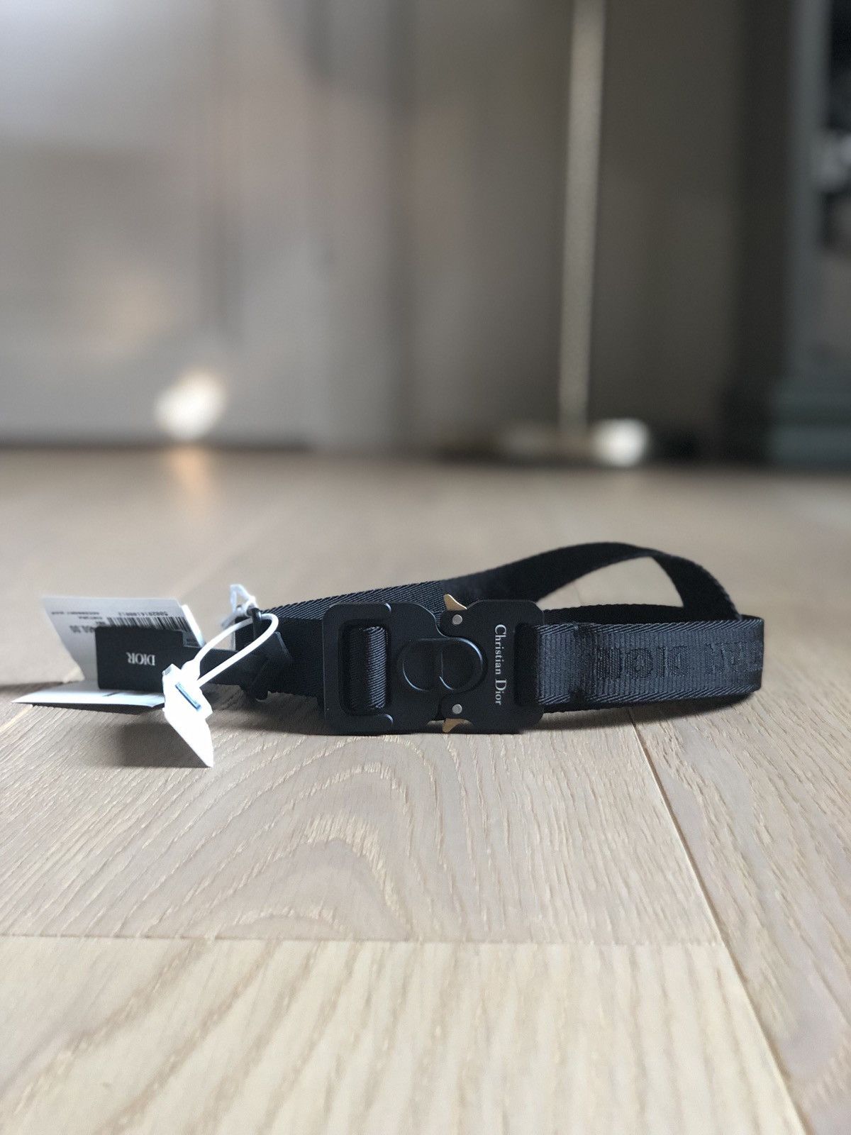 Dior roller outlet coaster belt