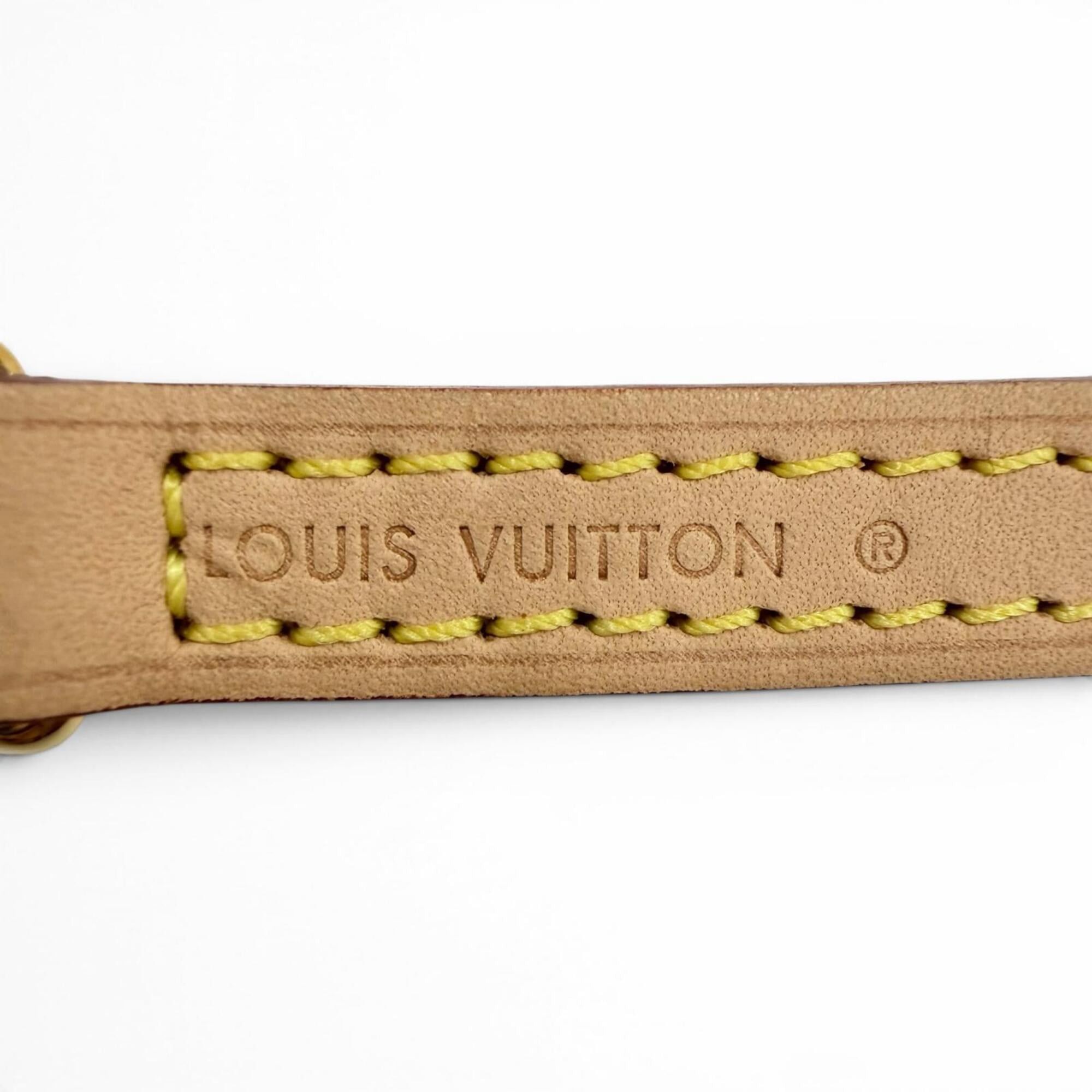 Louis Vuitton Louis Vuitton logo-embossed vachetta leather shoulder strap, light brown, gold hardware, made in France, women's. Size ONE SIZE - 5 Thumbnail