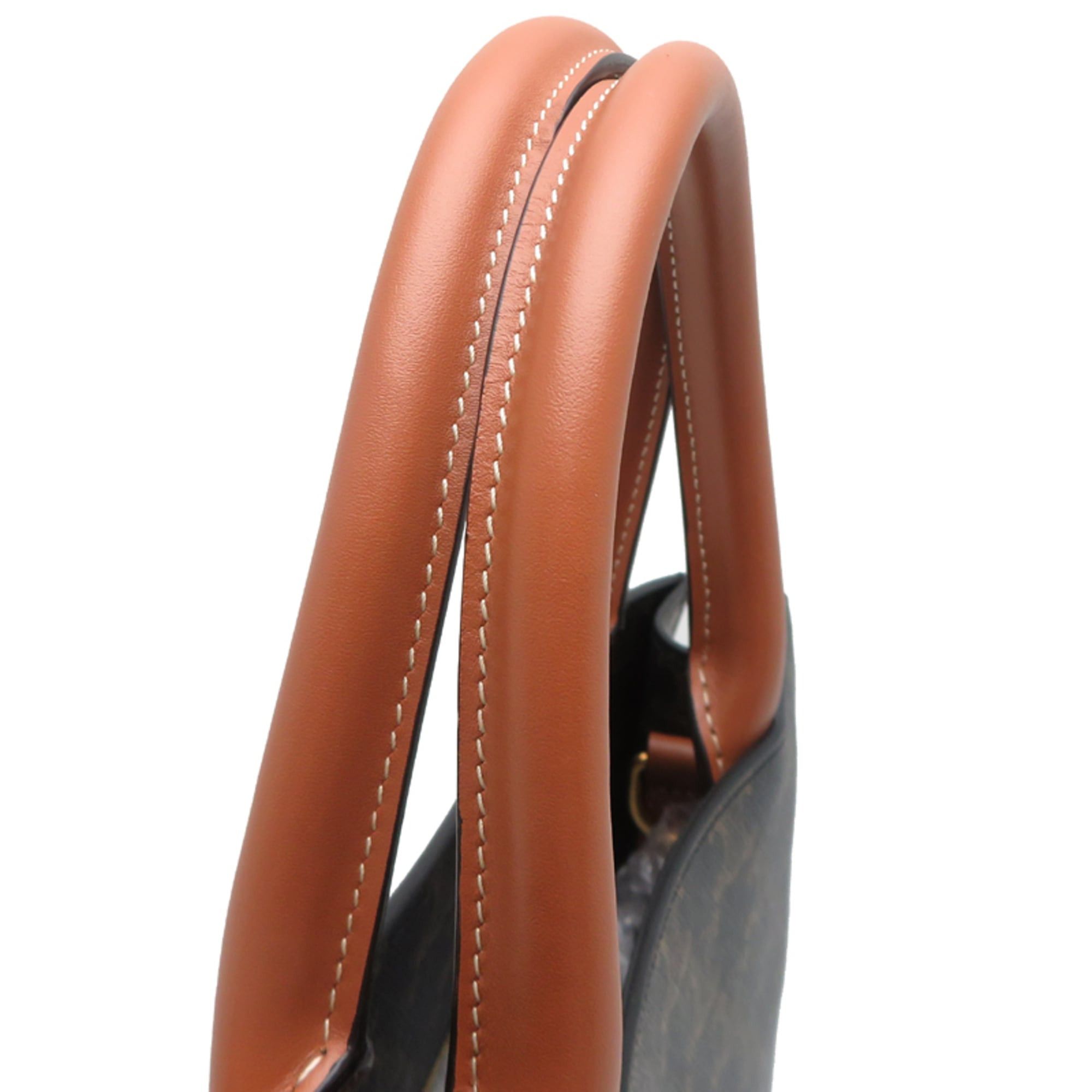 Celine Celine Triomphe Mini Vertical Cabas Women's Handbag, Calfskin, Brown Size ONE SIZE - 5 Thumbnail