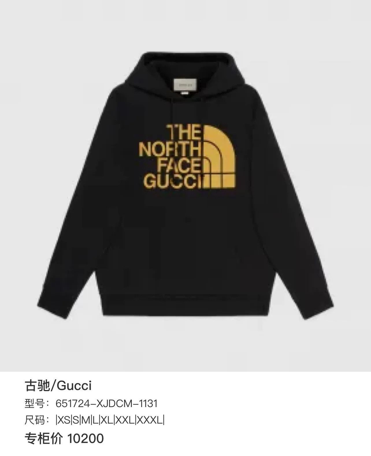 Gucci Gucci x The North Face Logo Print Hoodie Size S Size US S / EU 44-46 / 1 - 9 Thumbnail