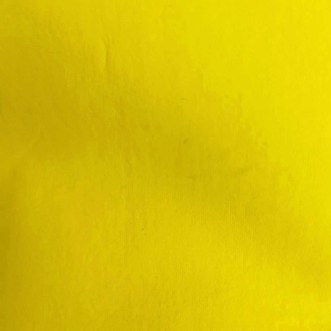 Dior Dior Homme Yellow Viscose Hooded Jacket Size 42 Size US XS / EU 42 / 0 - 10 Thumbnail