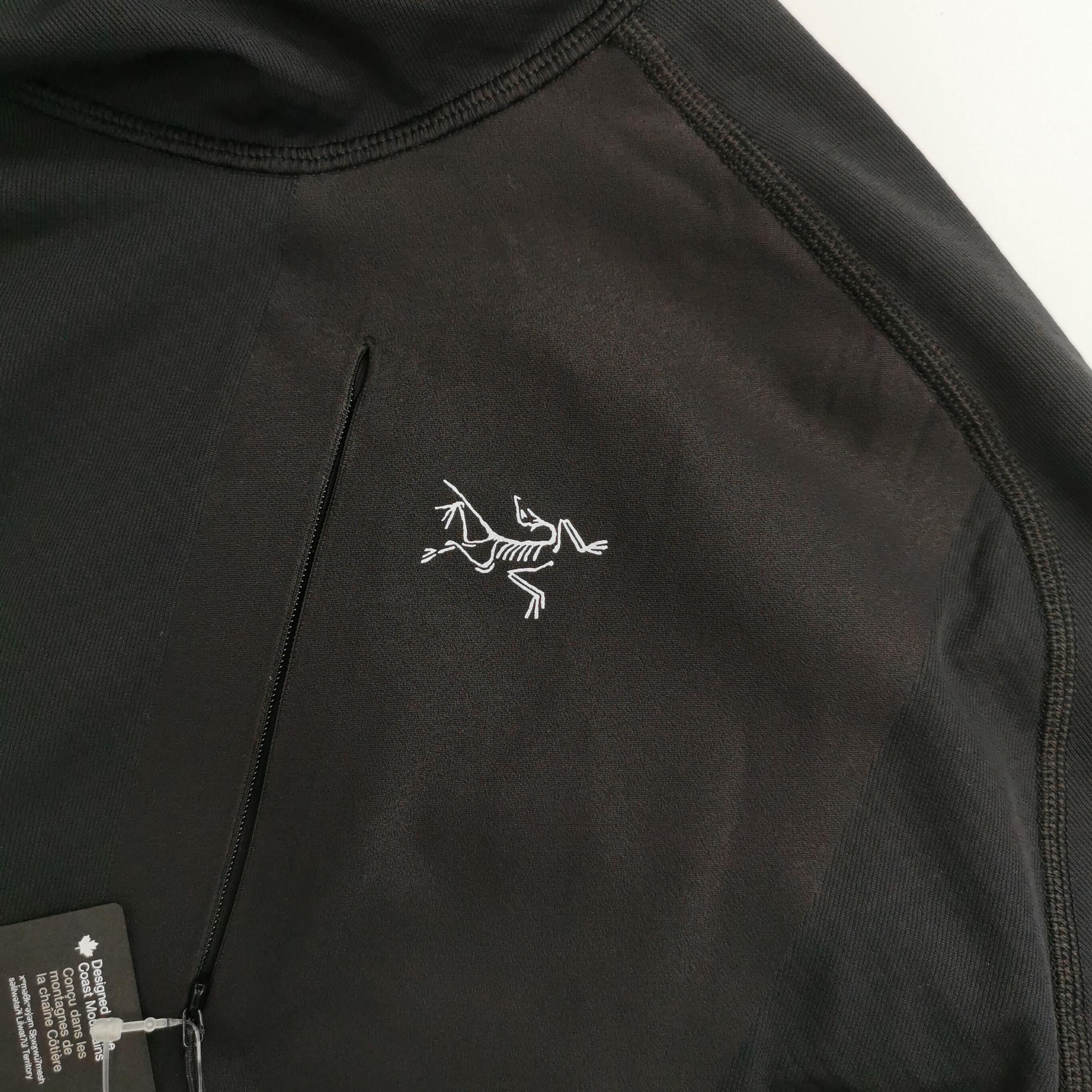 Arc'teryx Arc'teryx Logo Delta Pullover Hoody M Size US M / EU 48-50 / 2 - 4 Thumbnail