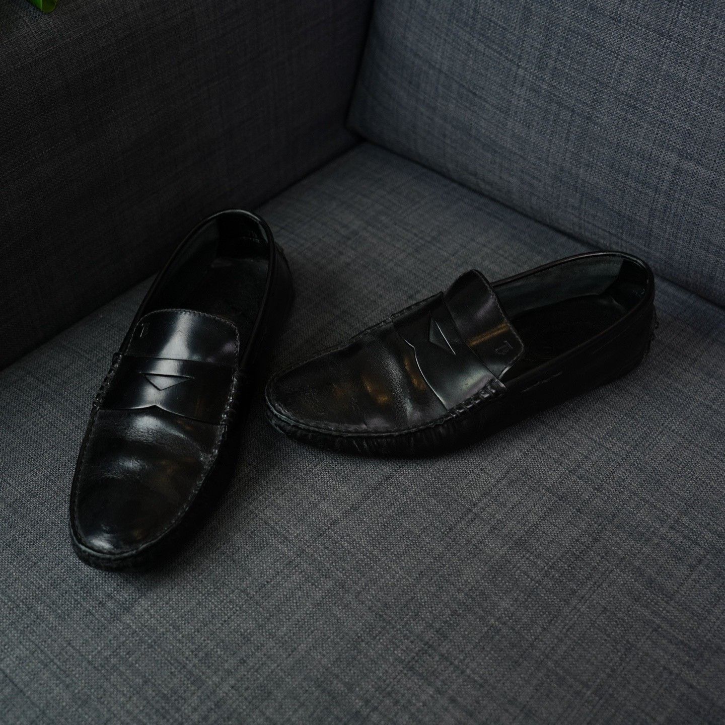 Tod's Tod's Black Lowtop Sneakers 8.5 Men Size US 8.5 / EU 41-42 - 3 Thumbnail