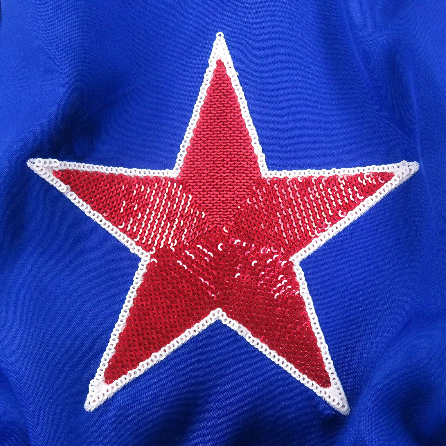 Celine Celine Celine Blouson Sequin Embroidered American Teddy Rayon Jacket Textile Outerwear DUTY FREE for USA Size ONE SIZE - 6 Thumbnail