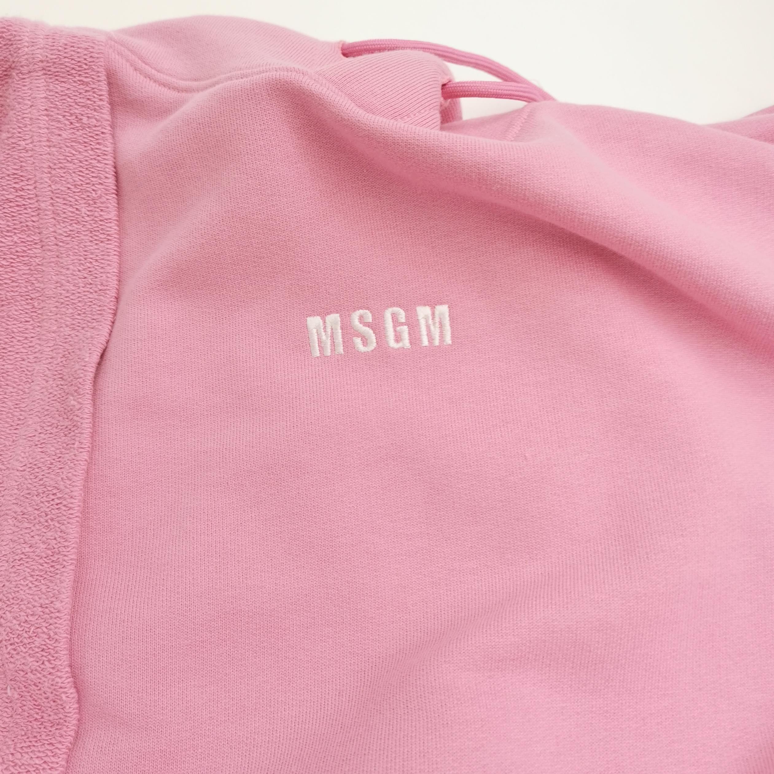 MSGM MSGM Pink Logo Contrast Panel Hoodie S Size US S / EU 44-46 / 1 - 4 Thumbnail