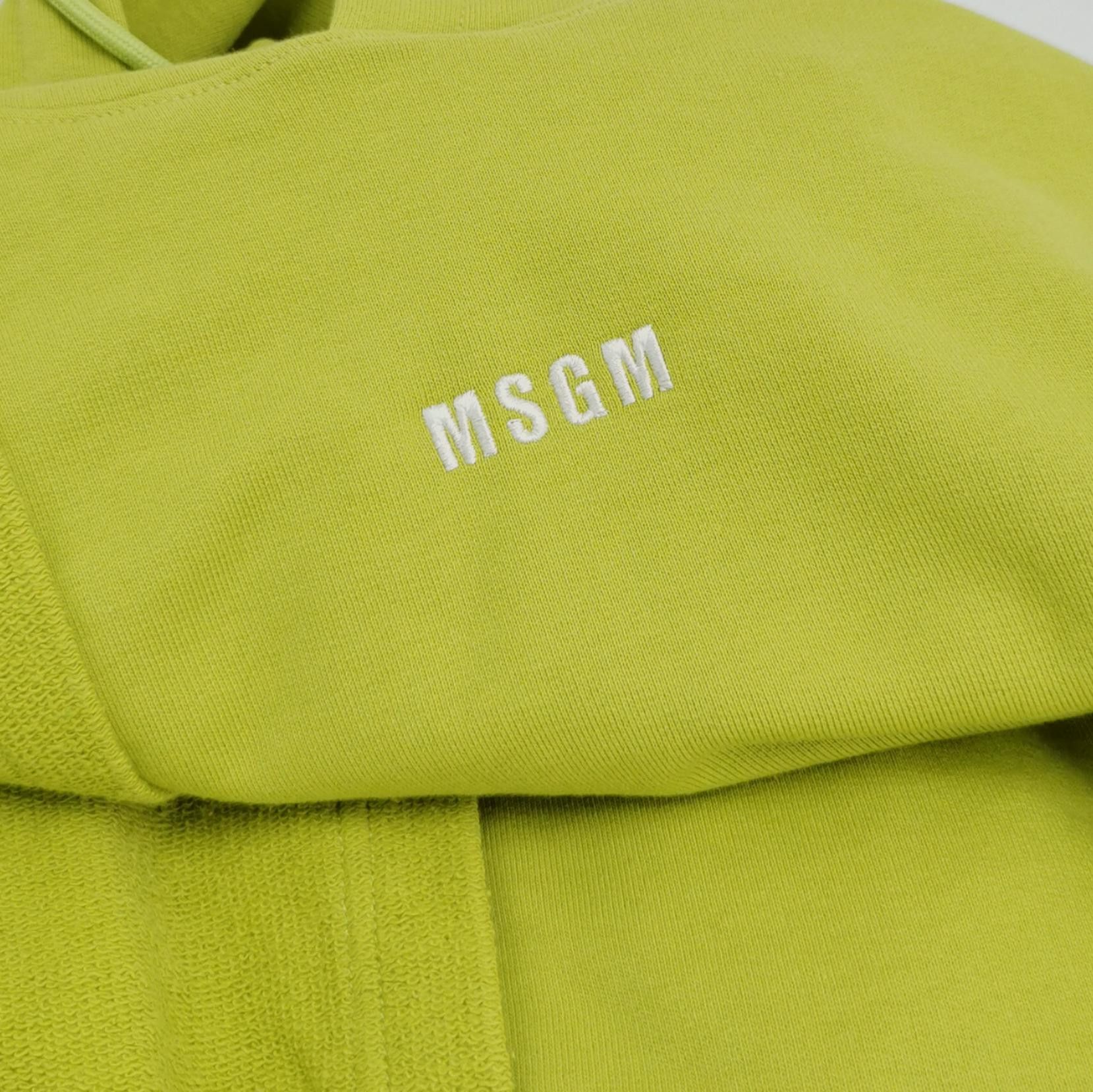 MSGM MSGM Logo Hooded Sweatshirt Size M Size US M / EU 48-50 / 2 - 4 Thumbnail
