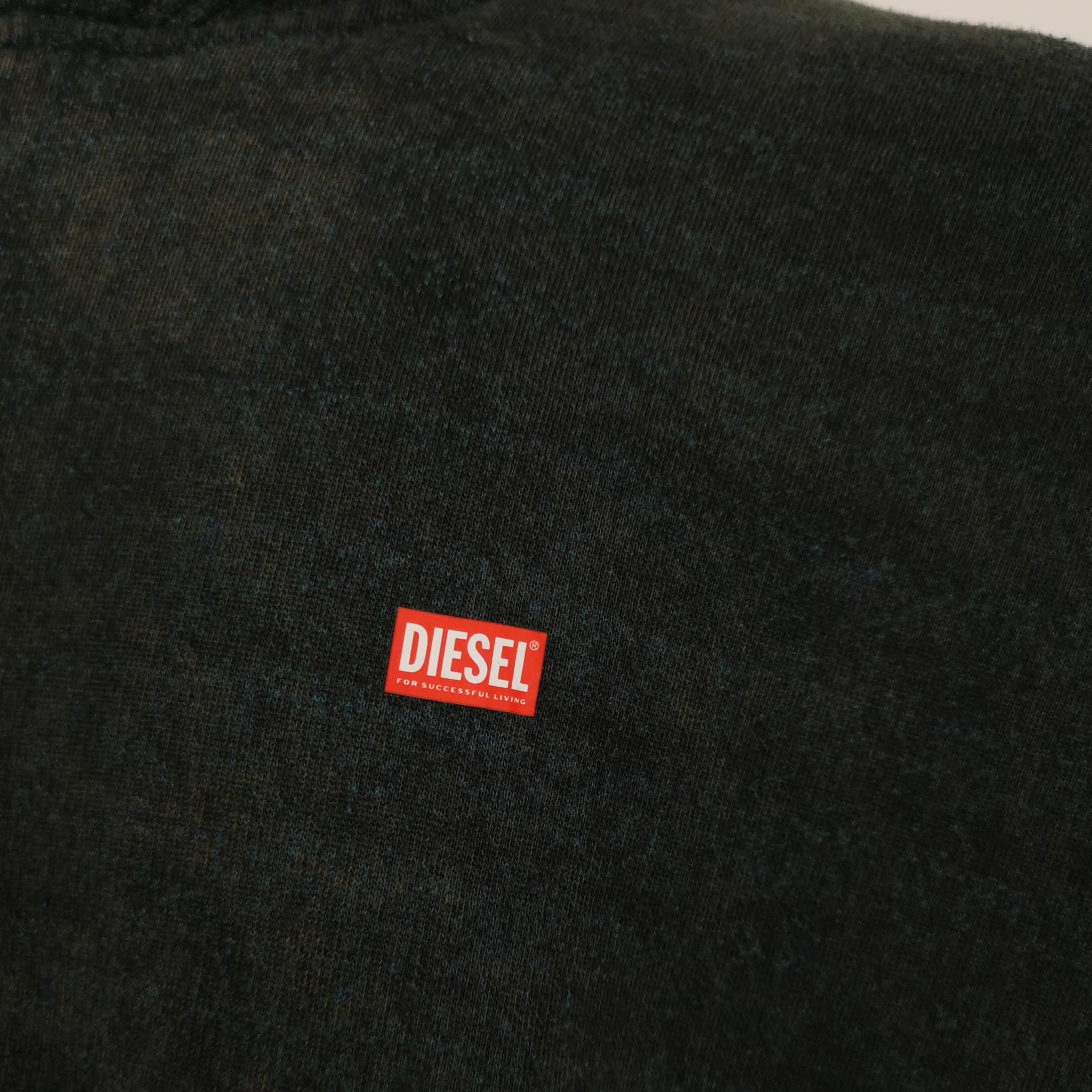 Diesel Diesel Logo Patch Faded Hoodie L Size US L / EU 52-54 / 3 - 4 Thumbnail