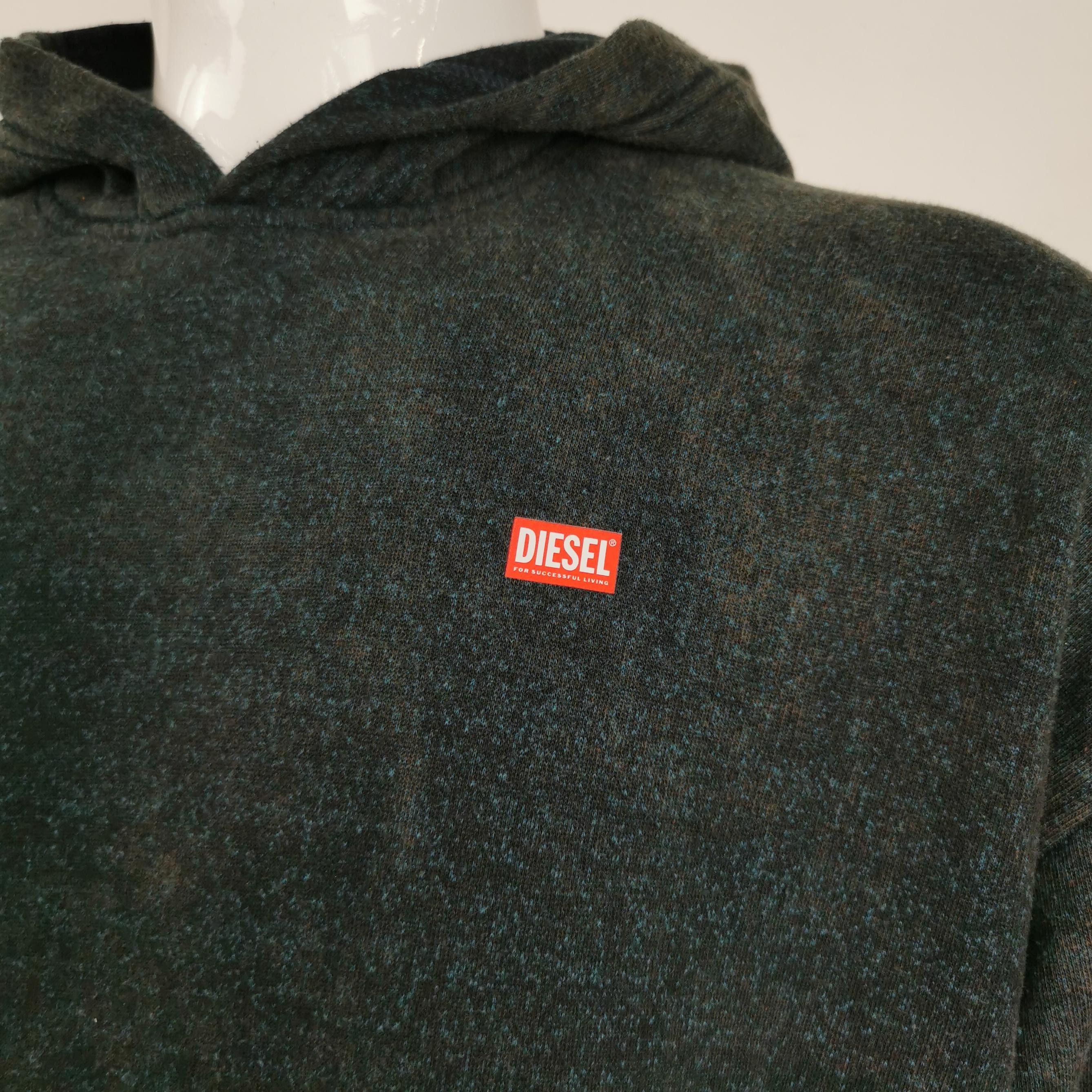 Diesel Diesel Washed Logo Hoodie Size M Size US M / EU 48-50 / 2 - 4 Thumbnail