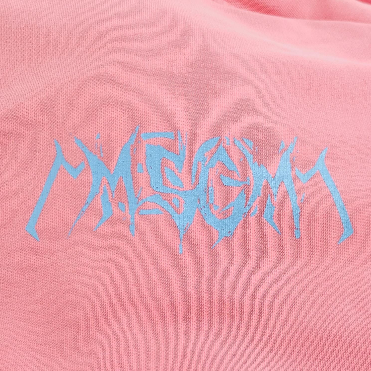 MSGM MSGM Logo Print Cotton Hoodie Size L Size US L / EU 52-54 / 3 - 5 Thumbnail