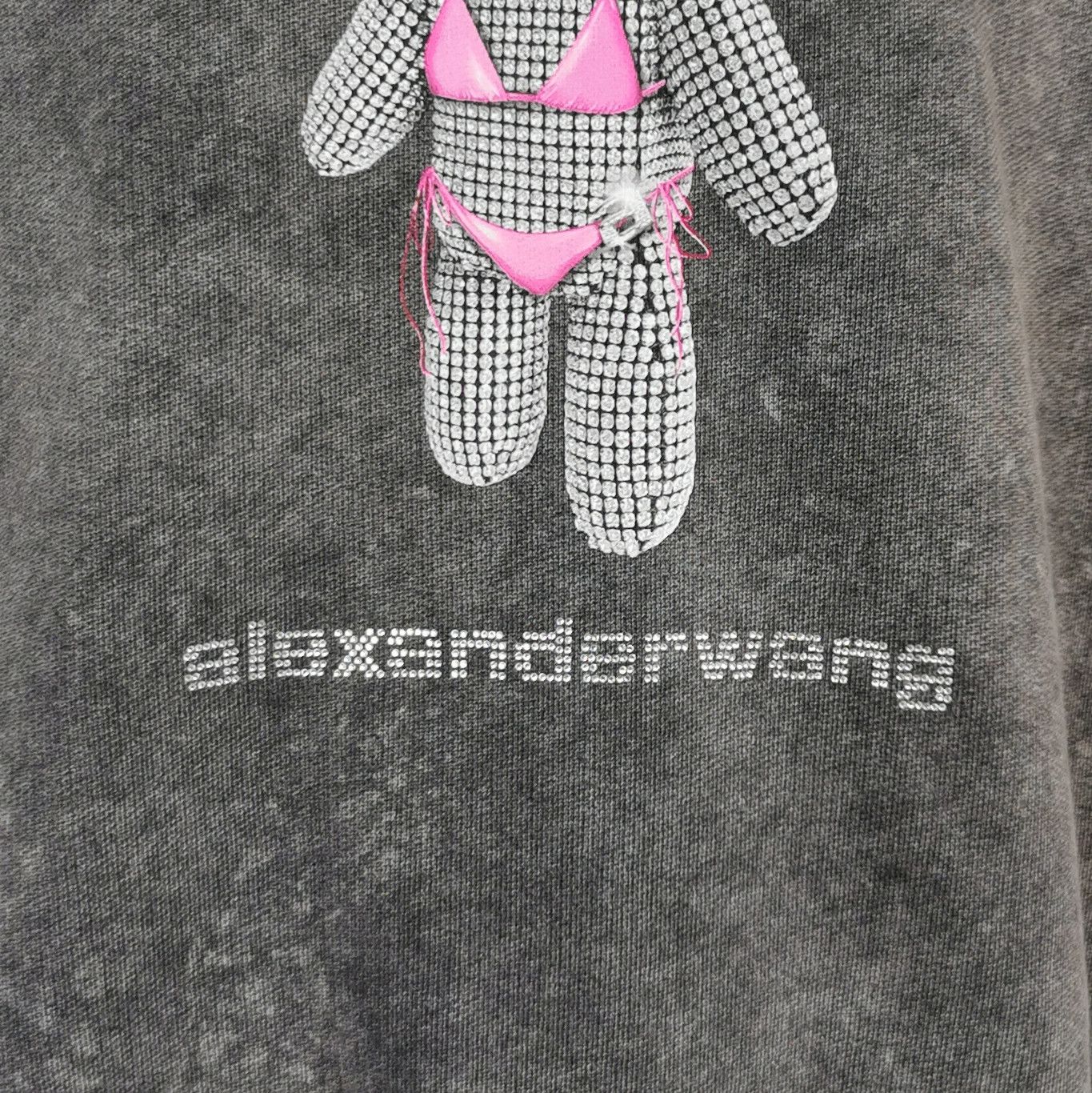 Alexander Wang Alexander Wang Crystal Bear Sweatshirt XS Size US XS / EU 42 / 0 - 4 Thumbnail