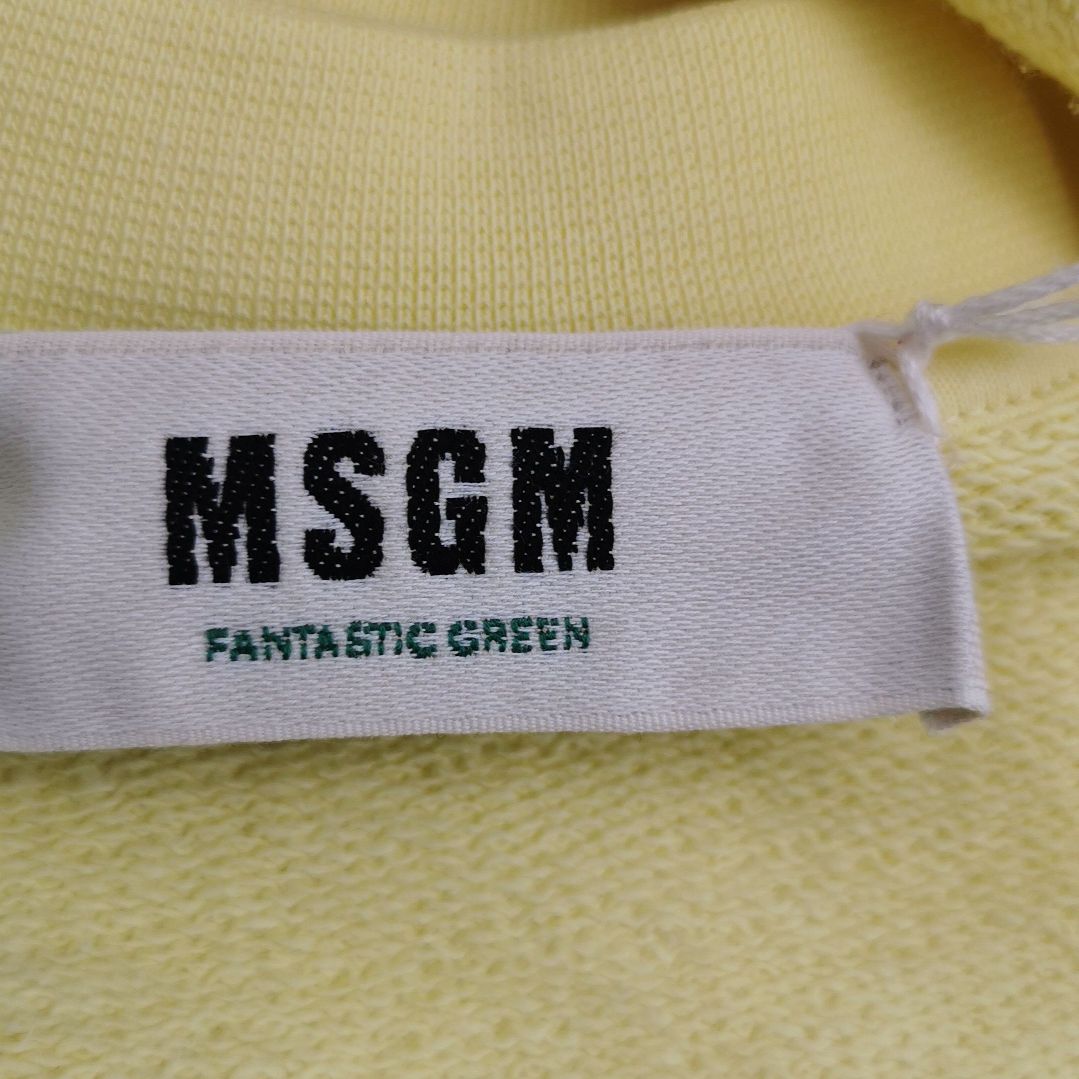 MSGM MSGM Earth Graphic Fantastic Green Sweatshirt Size M Size US M / EU 48-50 / 2 - 6 Thumbnail