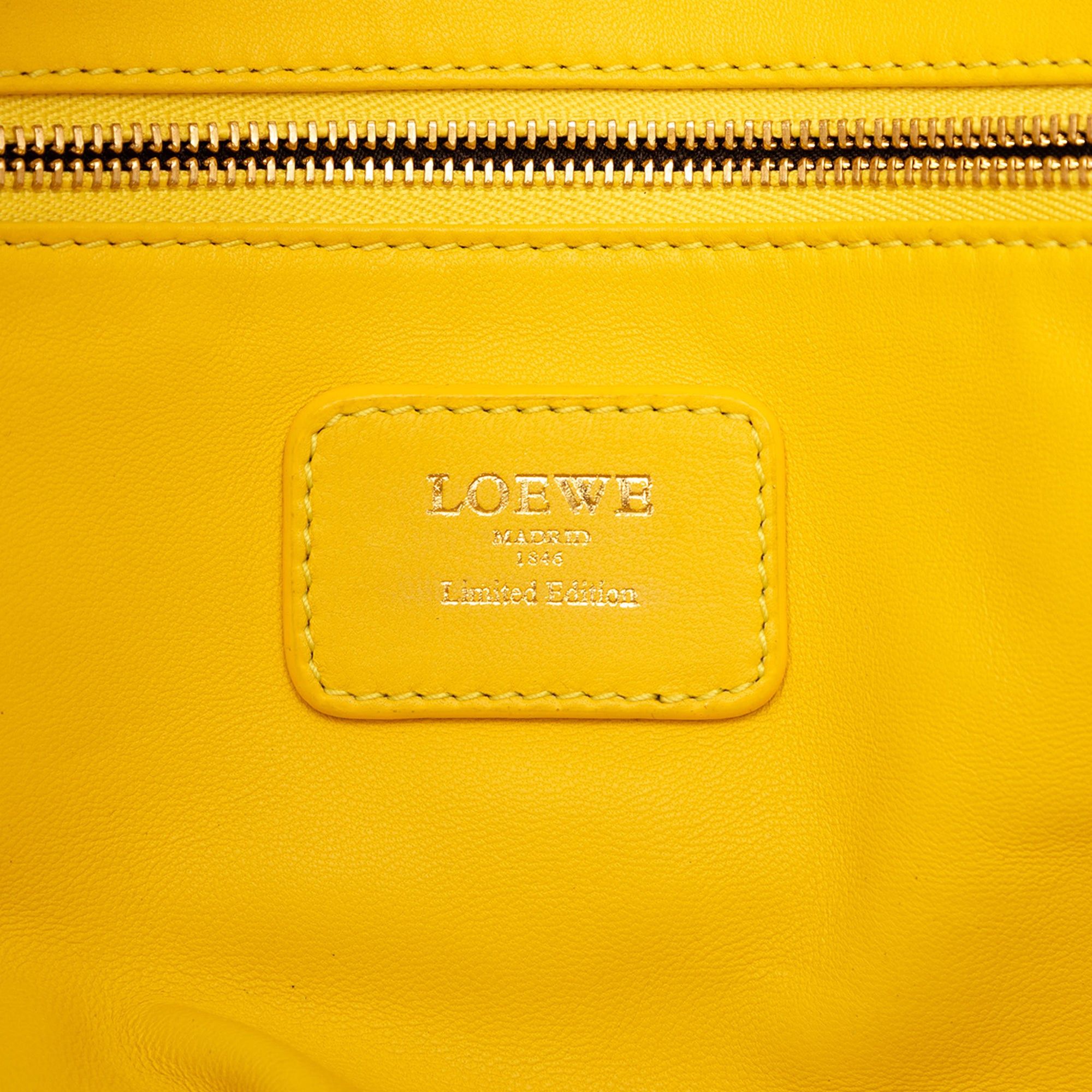 Loewe Tricolor Leather Amazona 36 Size ONE SIZE - 5 Thumbnail