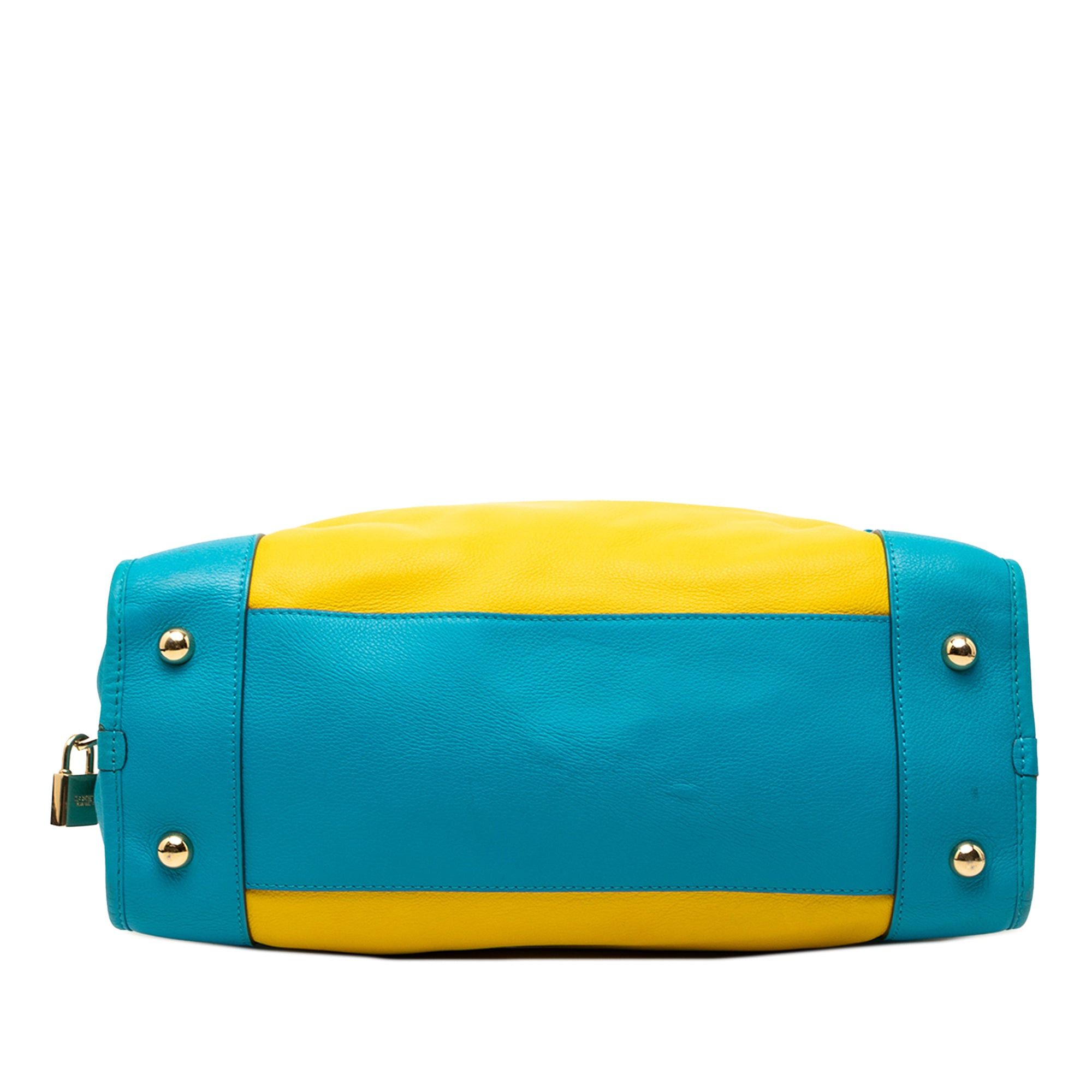Loewe Tricolor Leather Amazona 36 Size ONE SIZE - 3 Thumbnail