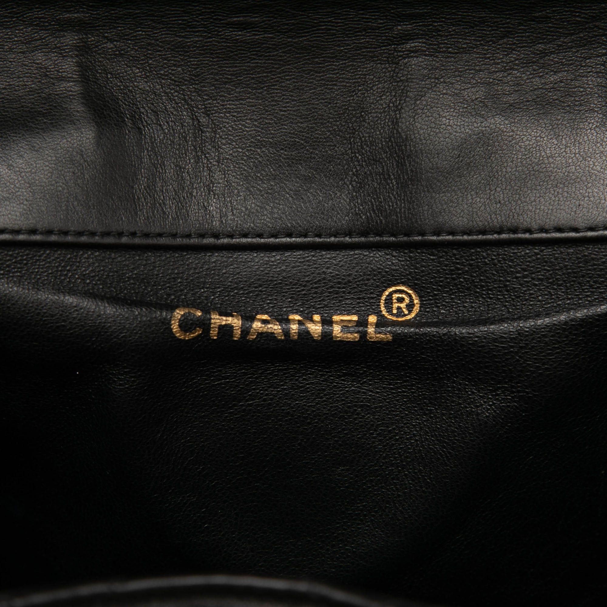 Chanel Medium Quilted Lambskin Duma Backpack Size ONE SIZE - 5 Thumbnail