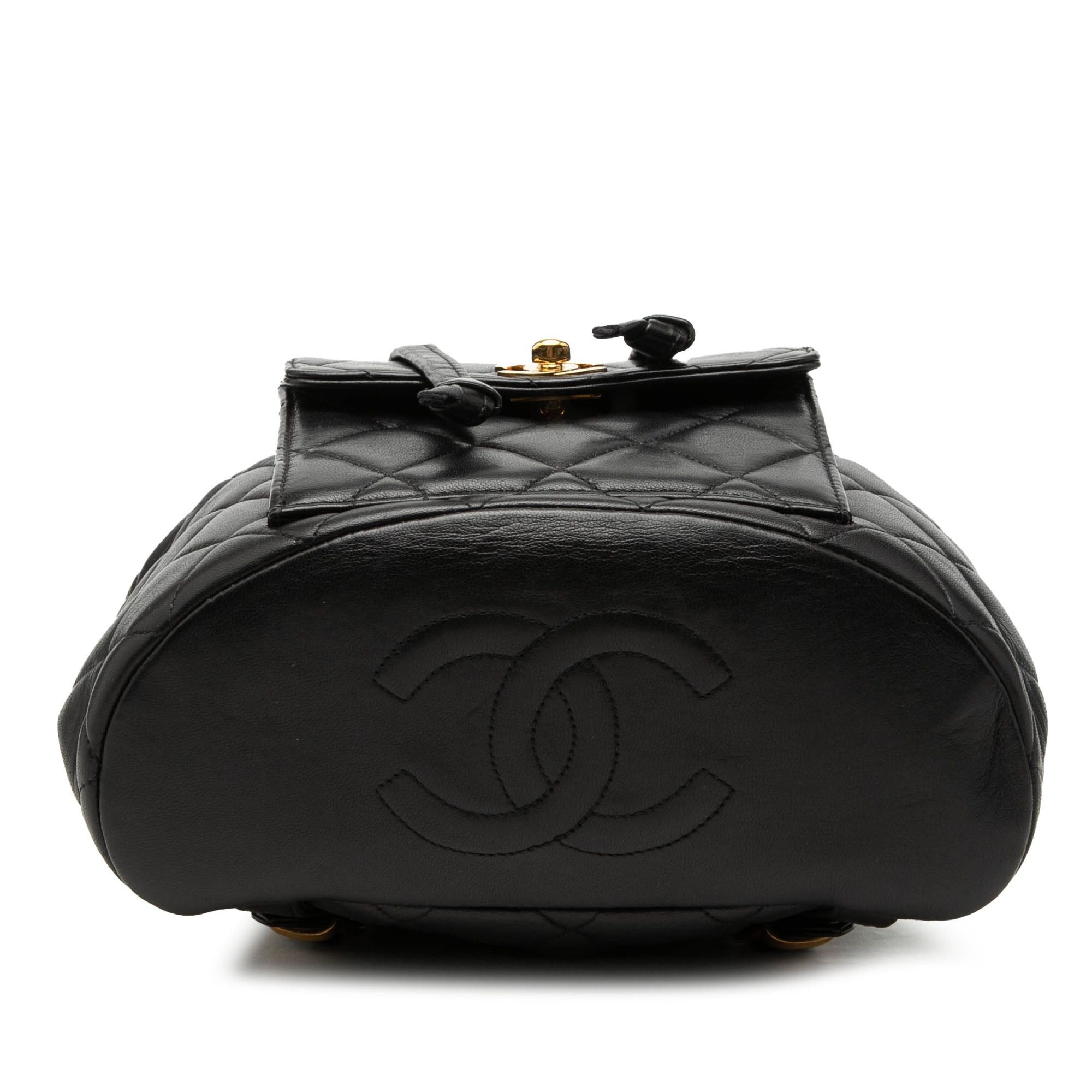 Chanel Medium Quilted Lambskin Duma Backpack Size ONE SIZE - 3 Thumbnail