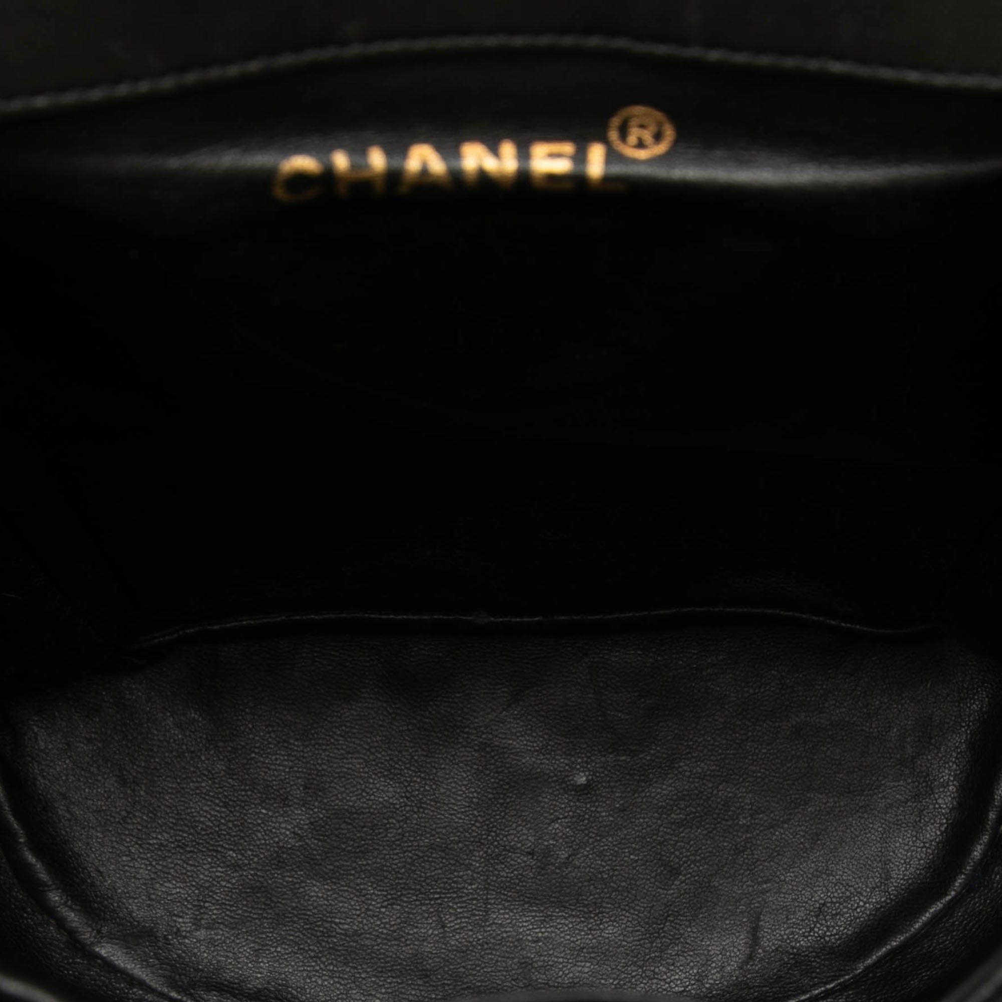 Chanel Medium Quilted Lambskin Duma Backpack Size ONE SIZE - 4 Thumbnail