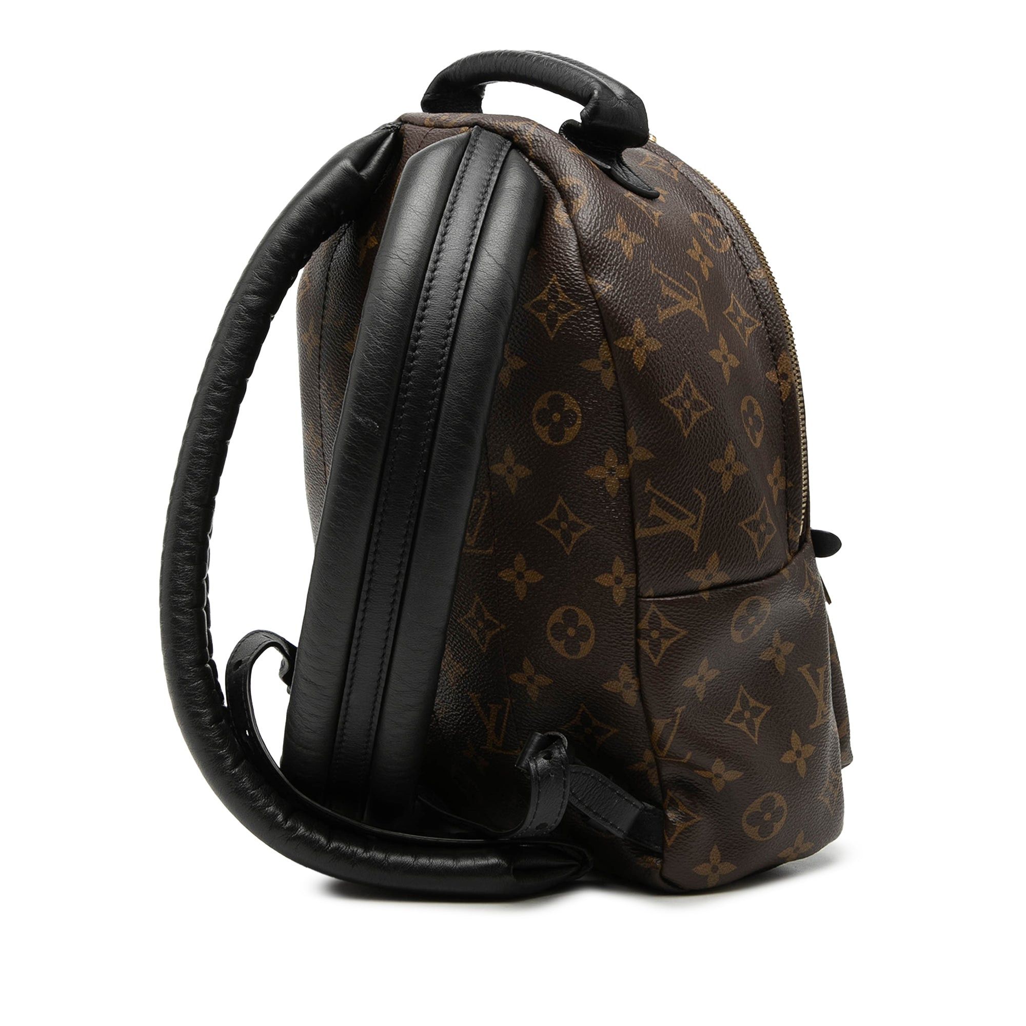 Louis Vuitton Monogram Palm Springs PM Size ONE SIZE - 2 Thumbnail