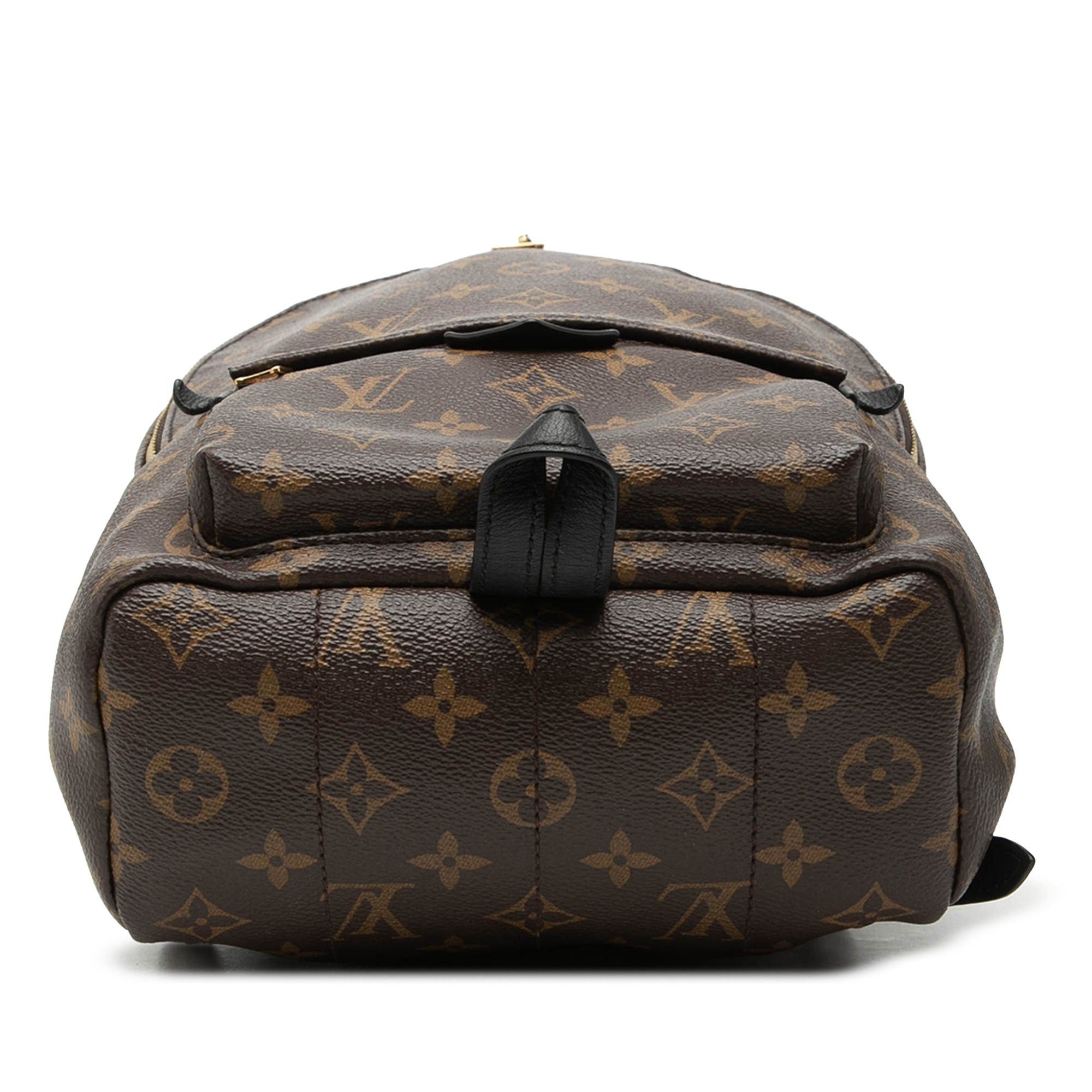 Louis Vuitton Monogram Palm Springs PM Size ONE SIZE - 3 Thumbnail