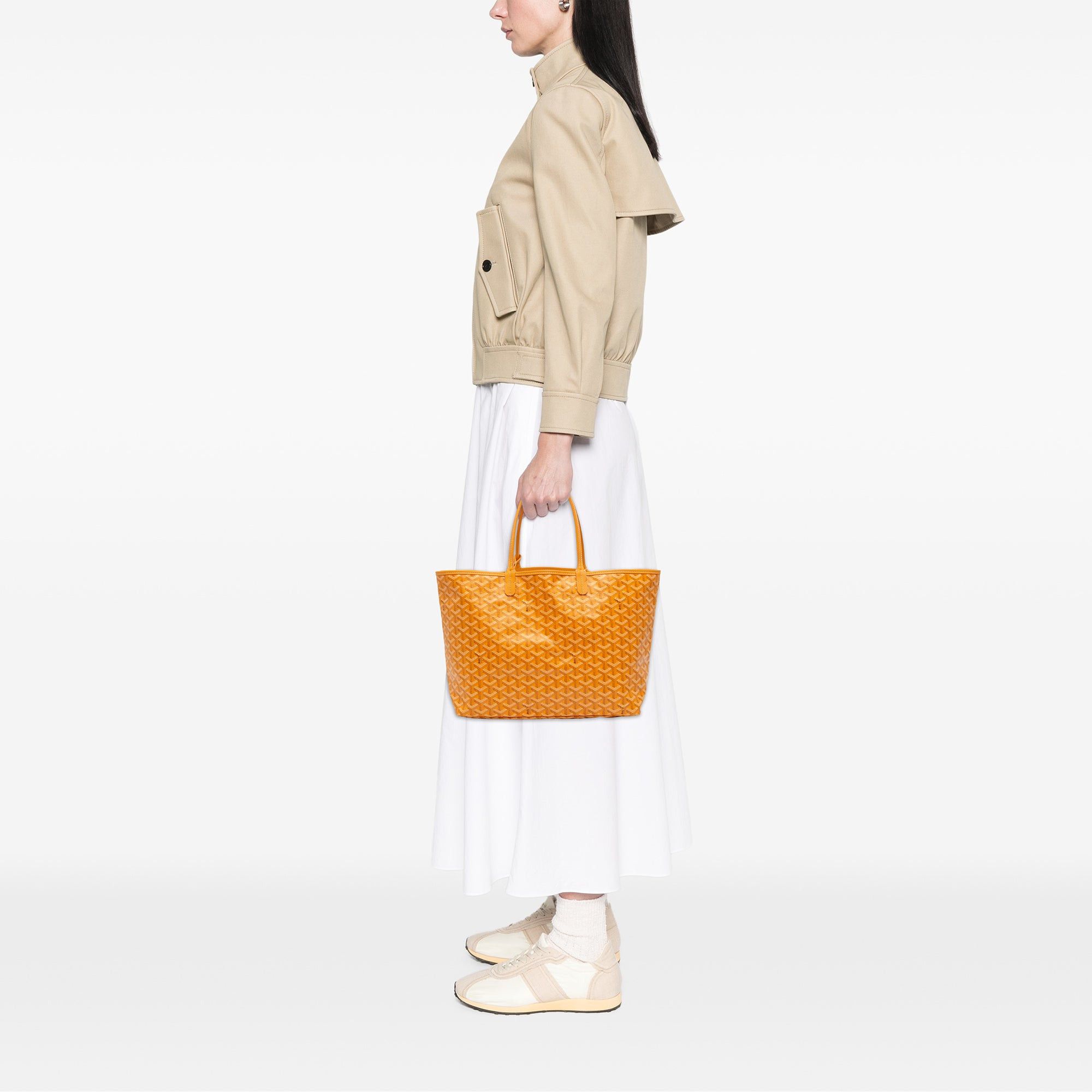 Goyard Goyardine Saint Louis PM Size ONE SIZE - 11 Thumbnail