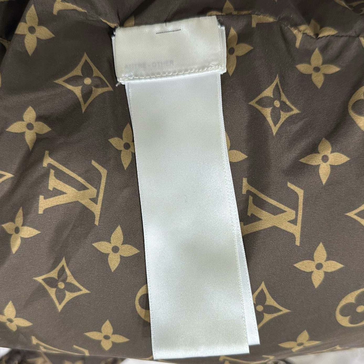 Louis Vuitton Louis Vuitton Down Heavy Coat xs Men Size US XS / EU 42 / 0 - 7 Thumbnail