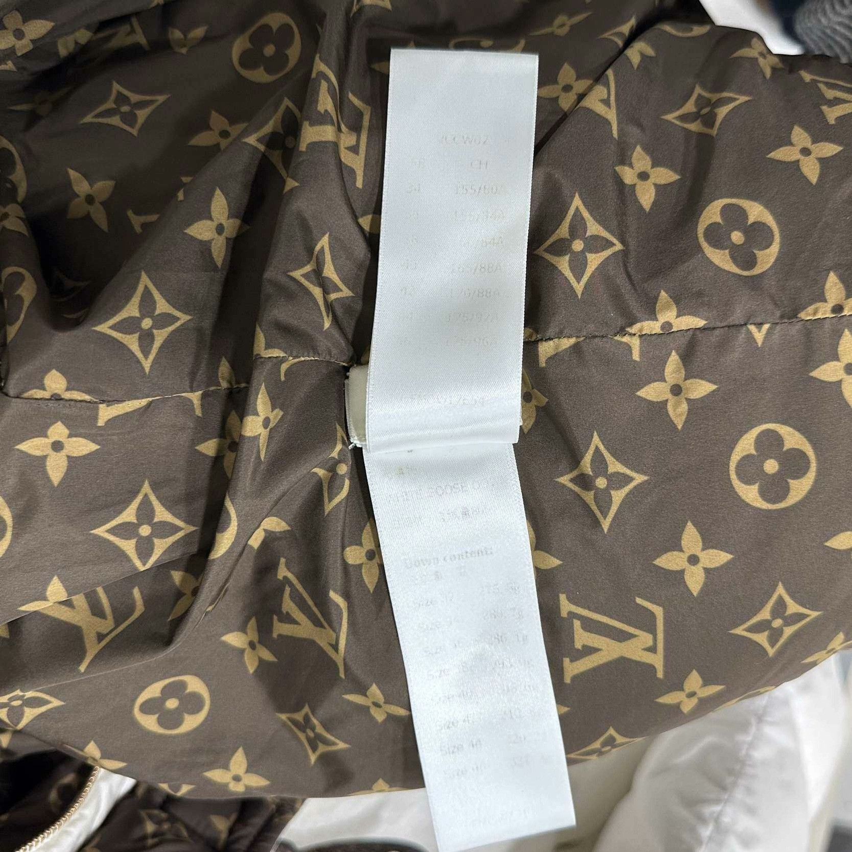 Louis Vuitton Louis Vuitton Down Heavy Coat xs Men Size US XS / EU 42 / 0 - 6 Thumbnail