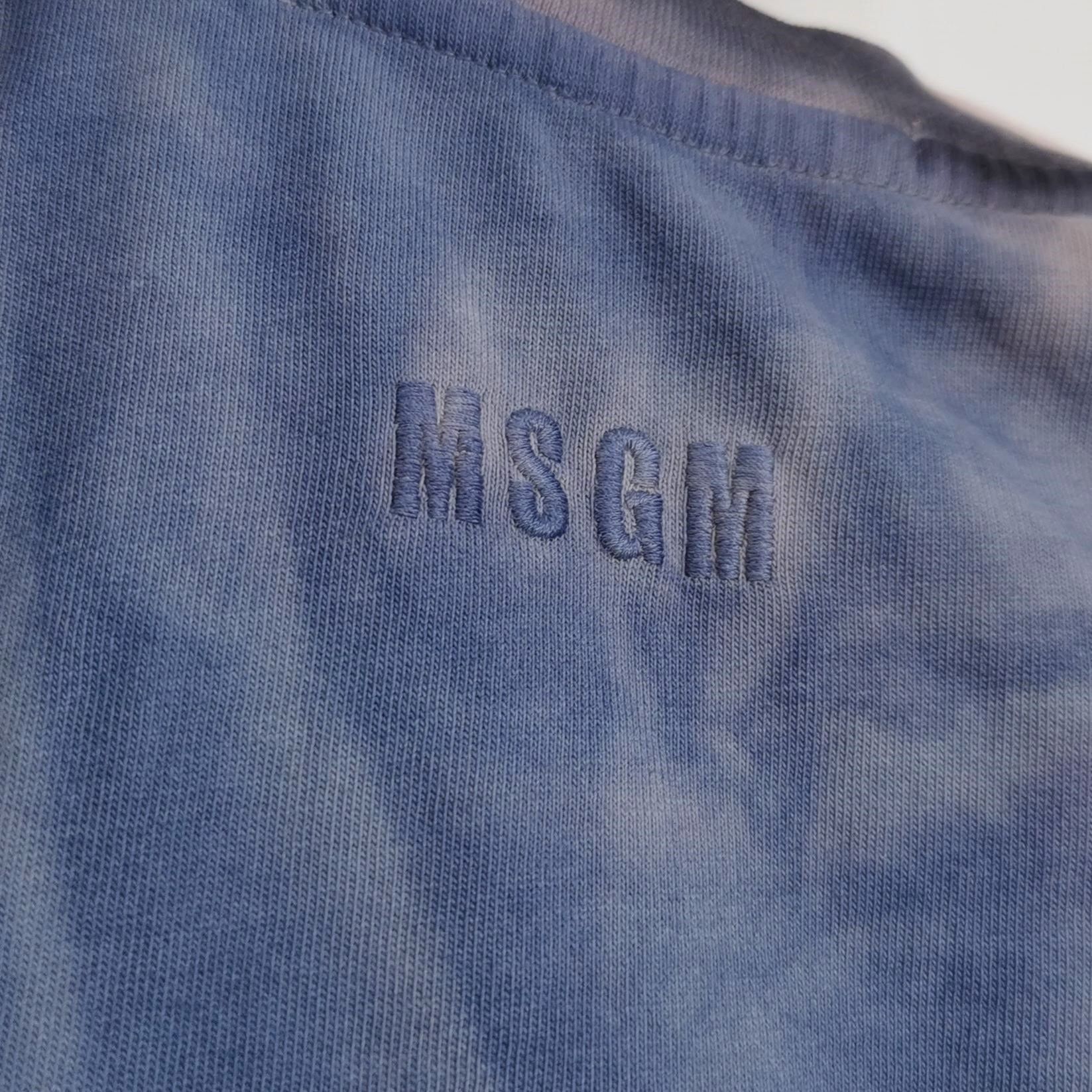MSGM MSGM Blue Gradient Logo T-Shirt Size S Size US S / EU 44-46 / 1 - 4 Thumbnail