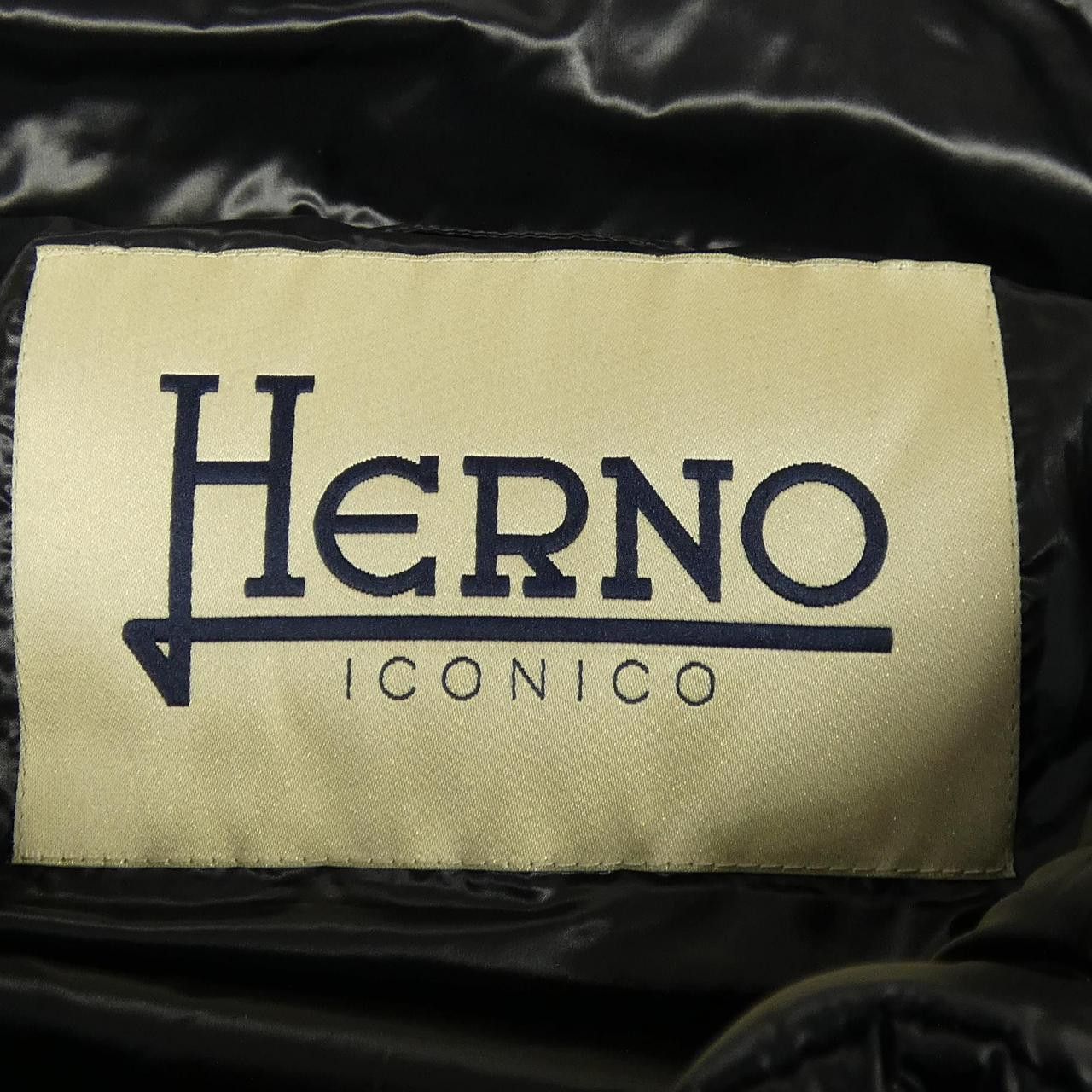 Other Other Herno Iconico Sofia Down Jacket Textile Outerwear PI0046DIC DUTY FREE for USA Size ONE SIZE - 5 Thumbnail