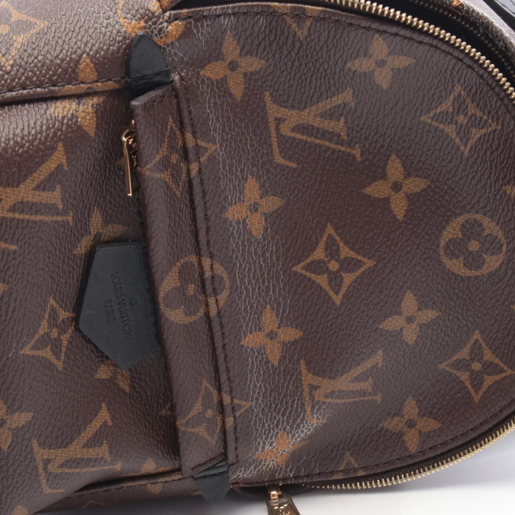 Louis Vuitton Louis Vuitton Louis Vuitton Palm Springs Monogram backpack Textile Backpack M41562 DUTY FREE for USA Size ONE SIZE - 6 Thumbnail