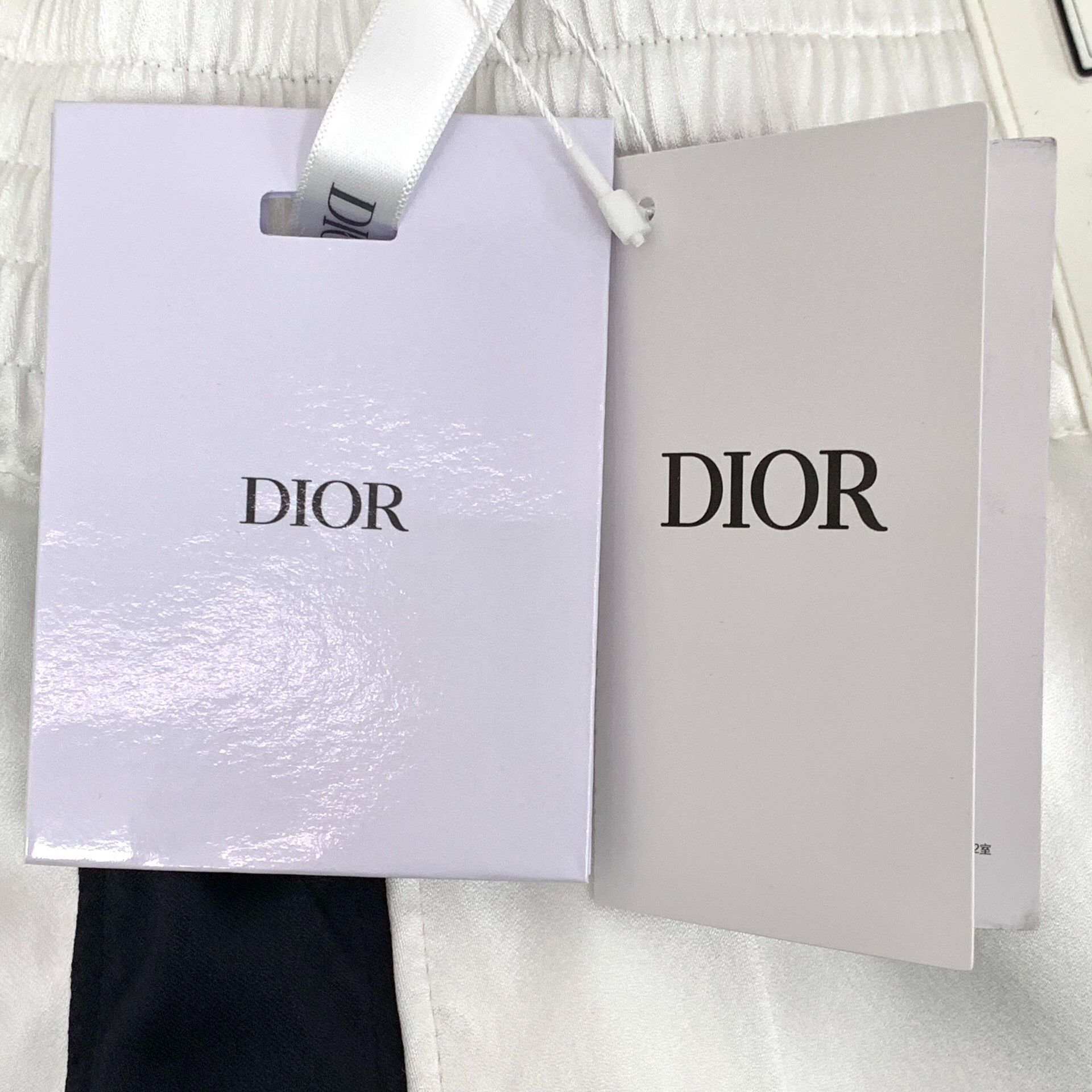Dior Dior Vibe Satin Logo Athletic Shorts XS Size US 28 / EU 44 - 8 Thumbnail
