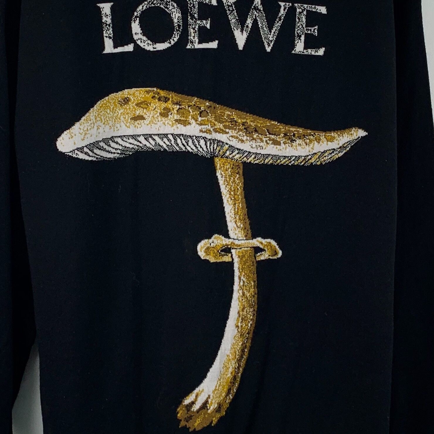 Loewe Loewe Mushroom Intarsia Wool Sweater S Size US S / EU 44-46 / 1 - 5 Thumbnail