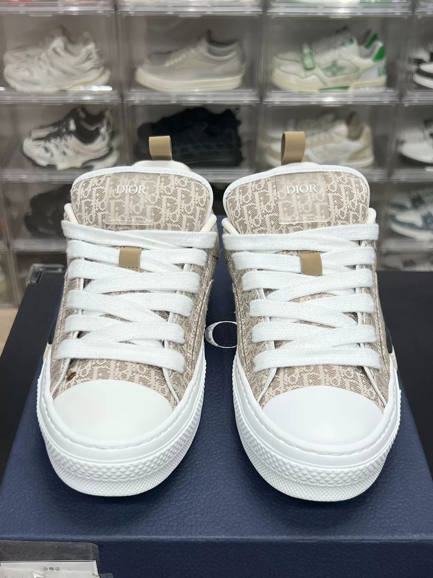 Dior Dior Lowtop Sneakers 9 Men Size US 9 / EU 42 - 2 Thumbnail