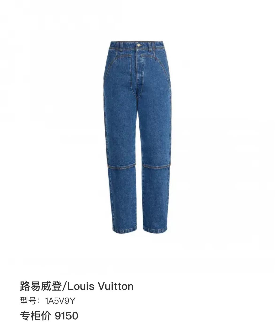 Louis Vuitton Louis Vuitton Blue Paneled Carpenter Jeans 34 Size US 27 - 7 Thumbnail