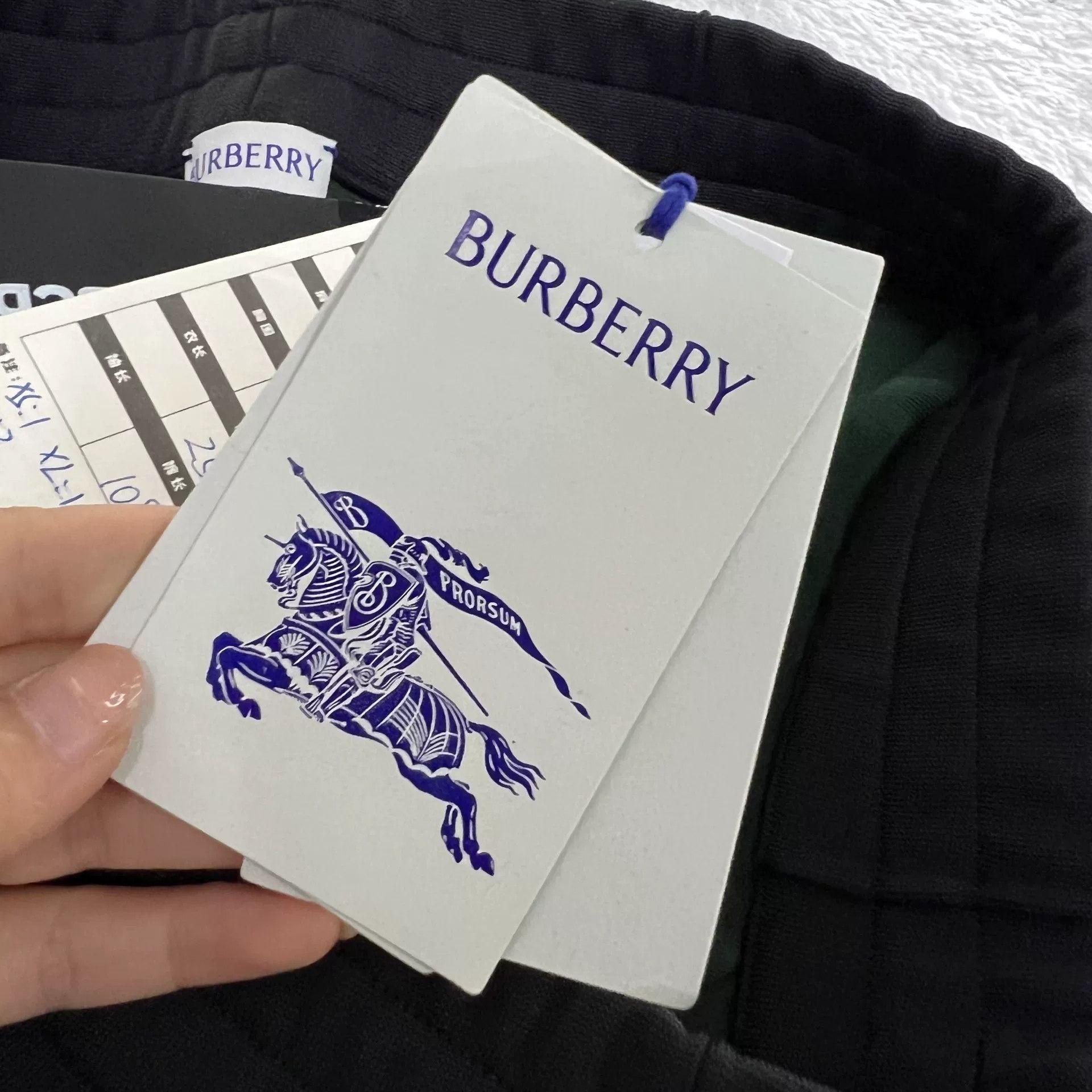 Burberry Burberry Back Logo Sweatpants XS Size US 28 / EU 44 - 5 Thumbnail