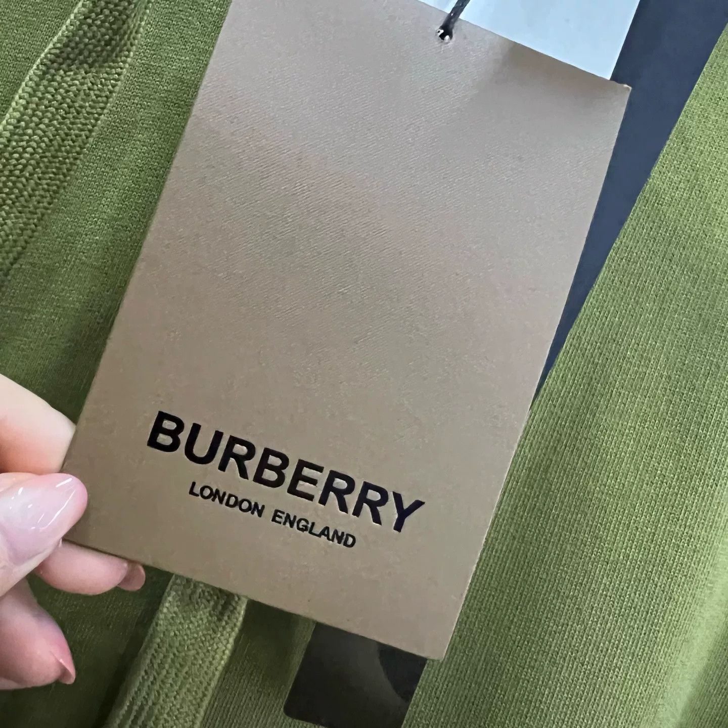 Burberry Burberry Embroidered Logo Hoodie Green Size L Size US L / EU 52-54 / 3 - 5 Thumbnail