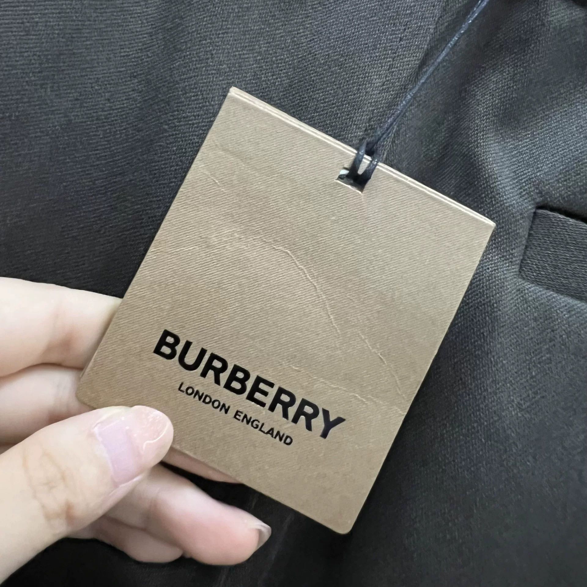 Burberry Burberry Buckle Detail Pleated Trousers 34 Size US 34 / EU 50 - 5 Thumbnail
