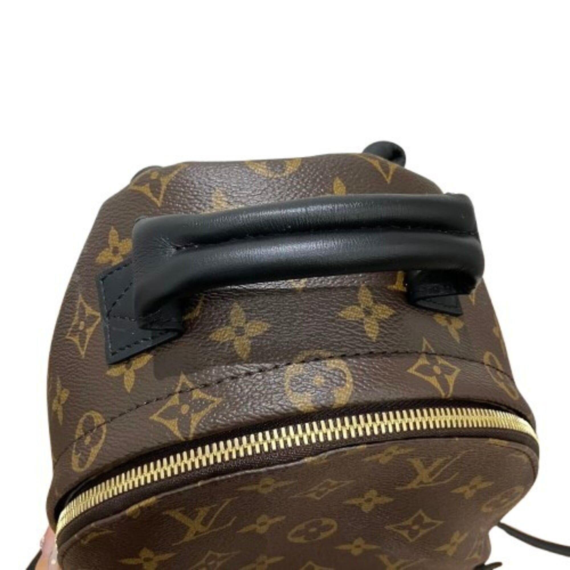 Louis Vuitton Louis Vuitton Palm Springs Backpack PM M44871 Size ONE SIZE - 4 Thumbnail