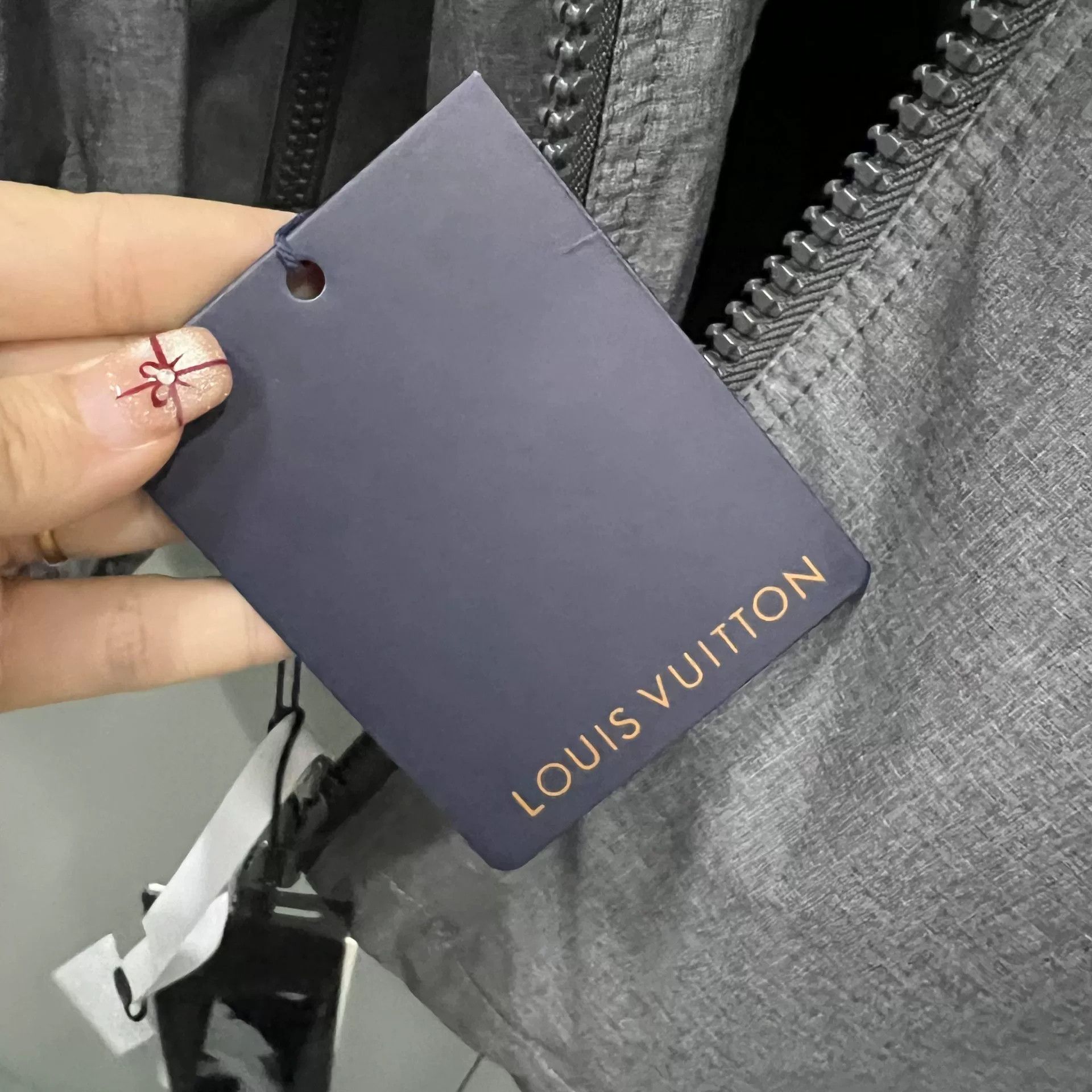 Louis Vuitton Louis Vuitton Patch Grey Hooded Windbreaker Size 52 Size US L / EU 52-54 / 3 - 6 Thumbnail