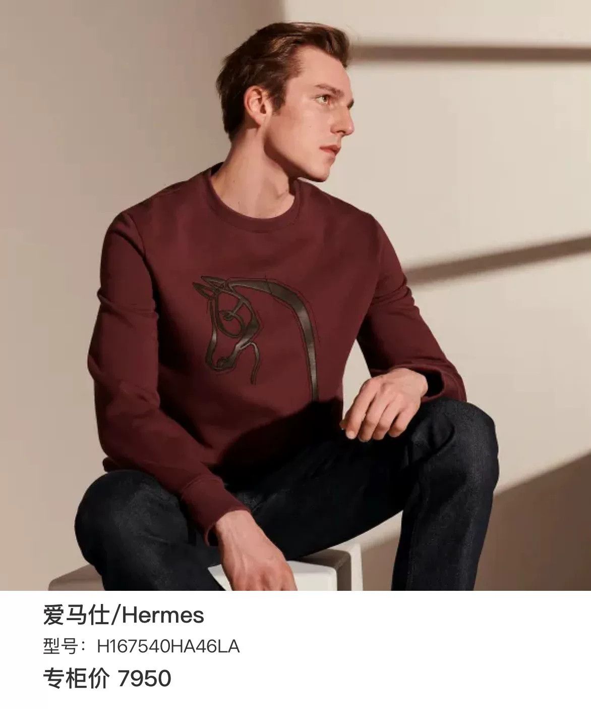 Hermes Hermes Horse Head Lambskin Patch Hoodie XS Size US XS / EU 42 / 0 - 7 Thumbnail