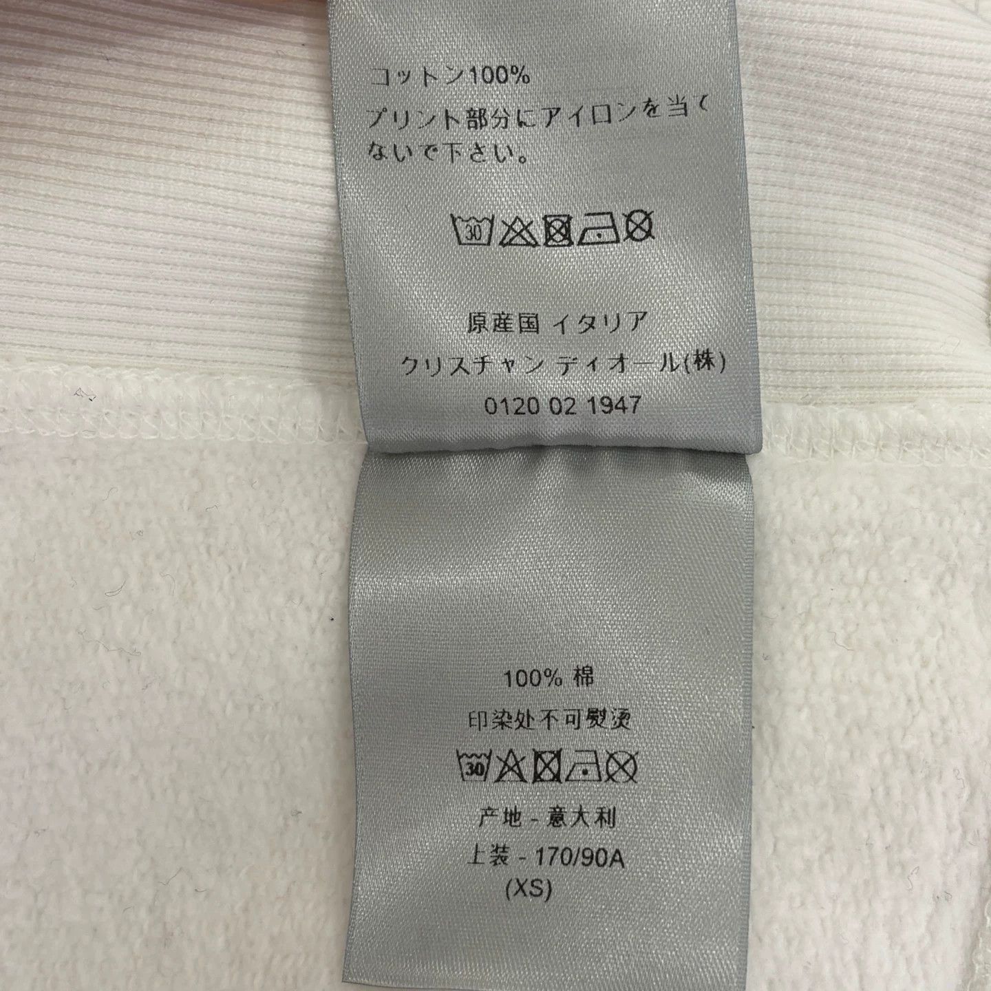 Dior DIOR Flocked Letter Loose Hoodie Size US XS / EU 42 / 0 - 4 Thumbnail