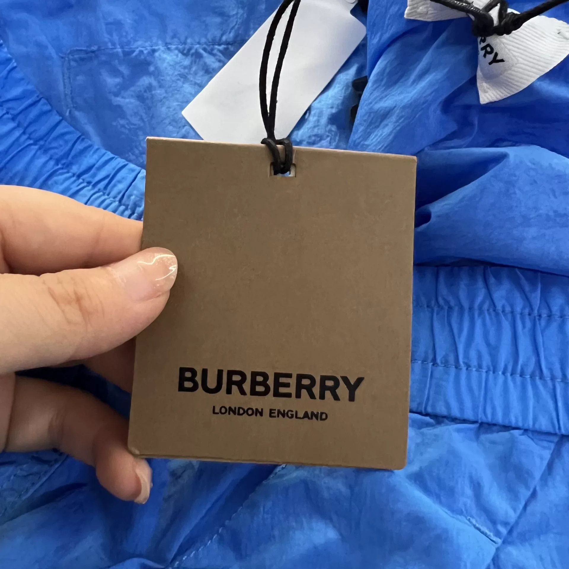 Burberry Burberry Blue Nylon Cargo Pants Size 34 Size US 34 / EU 50 - 5 Thumbnail