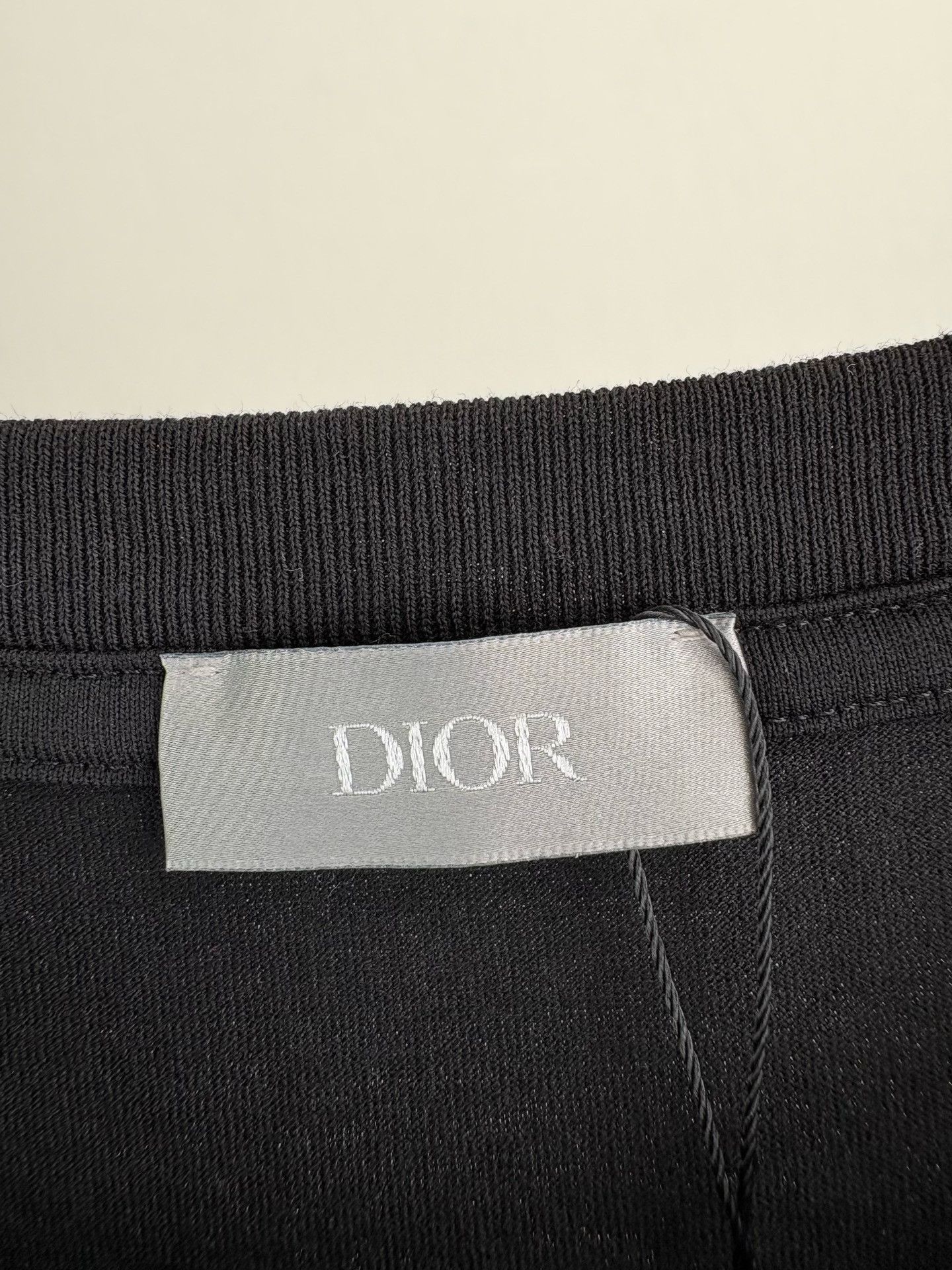 Dior Dior x Peter Doig Embroidered T-Shirt XXL Size US XXL / EU 58 / 5 - 5 Thumbnail