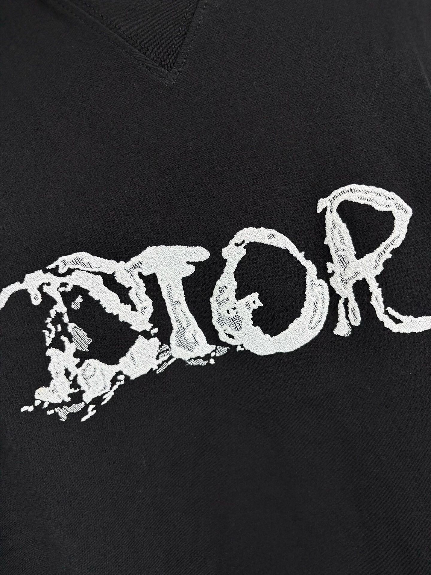 Dior Dior x Peter Doig Embroidered T-Shirt XXL Size US XXL / EU 58 / 5 - 4 Thumbnail
