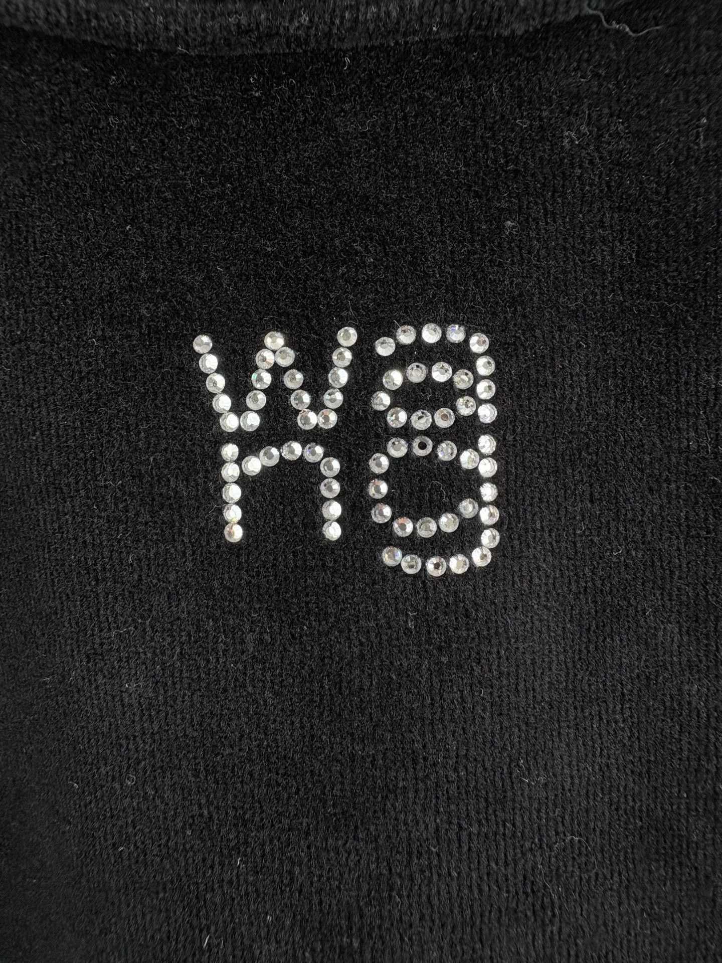 Alexander Wang Alexander Wang Rhinestone Logo Velour Sweatshirt L Size L / US 10 / IT 46 - 4 Thumbnail