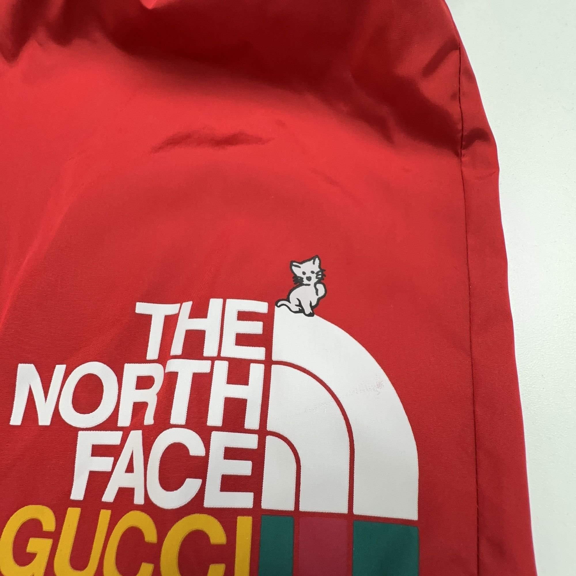 Gucci Gucci x The North Face Logo Print Shorts US 36 Size US 36 / EU 52 - 7 Thumbnail