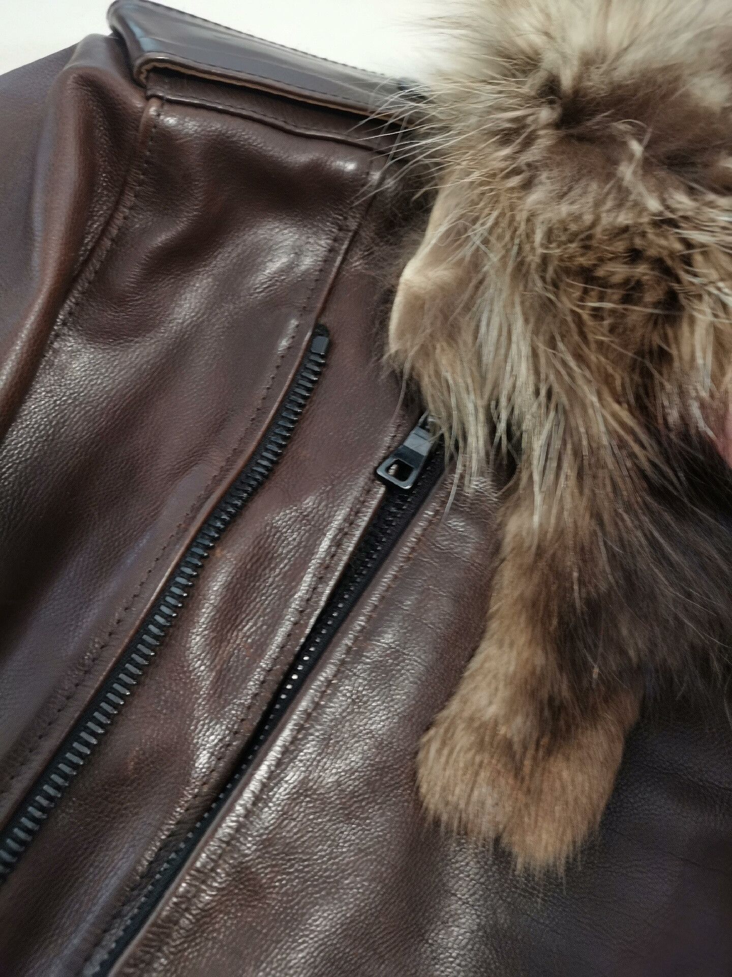 Balmain Balmain Runway Fur-Trimmed Coat Size US M / EU 48-50 / 2 - 6 Thumbnail