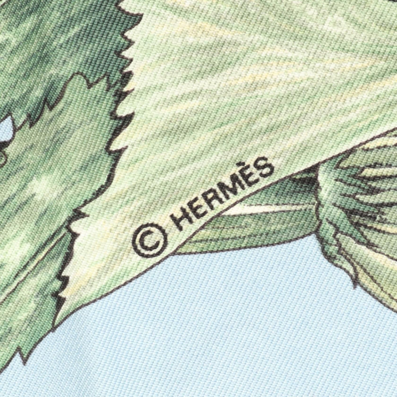 Hermes Hermes Hermes Carre90 CITROUILLES ET COLOQUINTES Silk Scarf Textile Scarf DUTY FREE for USA Size ONE SIZE - 2 Thumbnail