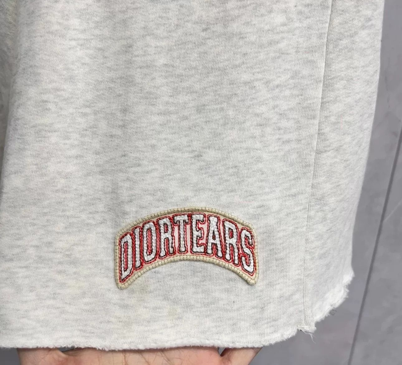 Dior Dior Tears Embroidered Logo Sweat Shorts XS Size US 28 / EU 44 - 3 Thumbnail